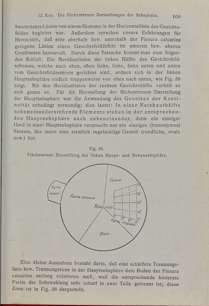 beschränkteLäsion von einem Skotome in der Horizontallinie des Gesichts- feldes begleitet war. Außerdem sprechen unsere Erfahrungen für Renschen, daß eine oberhalb bzw. unterhalb der Fissura calcarina gelegene Läsion einen Gesichtsfelddefekt im unteren bzw. oberen Quadranten hervorruft. Durch diese Tatsache kommt man zum folgen- den Schluß: Die Meridianlinien der linken Hälfte des Gesichtsfeld- schemas, welche nach oben, oben links, links, links unten und unten vom Gesichtsfeldzentrum gerichtet sind, ordnen sich in der linken Hauptsehsphäre einfach treppenweise von oben nach unten, wie Fig. 38 zeigt. Mit den Meridianlinien der rechten Gesichtshälfte verhält es sich genau so. Für die Herstellung der flächentreuen Darstellung der Hauptsehsphäre war die Anwendung des Gesetzes der Konti- nuität unbedingt notwendig; dies lautet; In einer Netzhauthälfte nebeneinanderstehende Elemente stehen in der entsprechen- den Hauptsehsphäre auch nebeneinander, denn ein einziger Herd in einer Hauptsehsphäre verursacht nur ein einziges (homonymes) Skotom, das meist eine ziemlich regelmäßige Gestalt (rundliche, ovale usw.) hat. Fig. 39. Flächentreue Darstellung der linken Haupt- und Nebensehsphäre. Eine kleine Ausnahme besteht darin, daß eine schärfere Trennungs- linie bzw. Trennungszone in der Hauptsehsphäre dem Boden der Fissura calcarina entlang existieren muß, weil die entsprechende hinterste Partie der Sehstrahlung sehr scharf in zwei Teile getrennt ist; diese Zone ist in Fig. 38 dargestellt.