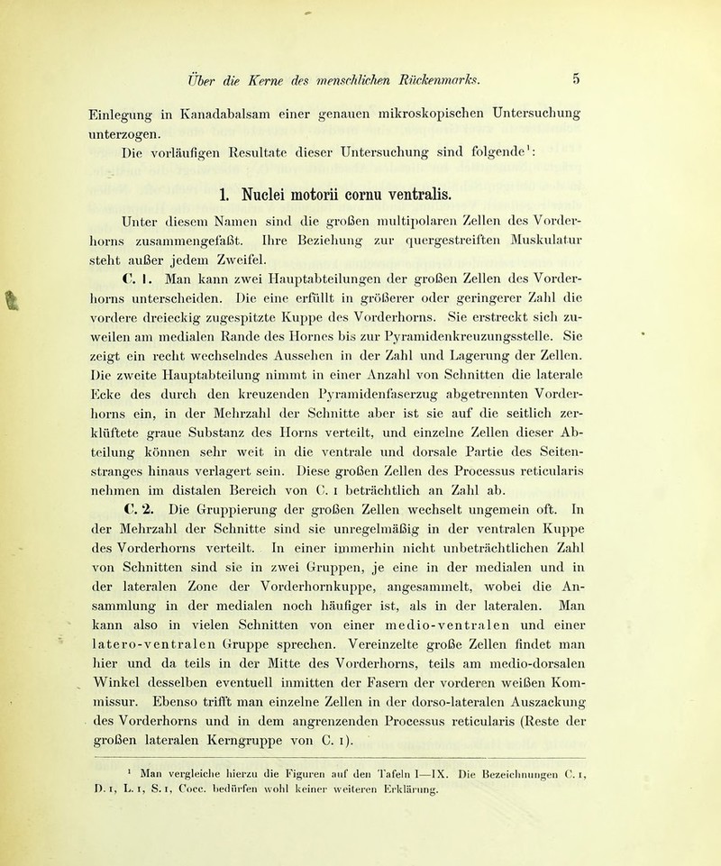 Einlegung in Kanadabalsam einer genauen mikroskopischen Untersuchung \mterzogen. Die vorläufigen Resultate dieser Untersuchung sind folgende1: 1. Nuclei motorii cornu ventralis. Unter diesem Namen sind die großen multipolaren Zellen des Vorder- horns zusammengefaßt. Ihre Beziehung zur quergestreiften Muskulatur steht außer jedem Zweifel. C. I. Man kann zwei Hauptabteilungen der großen Zellen des Vorder- horns unterscheiden. Die eine erfüllt in größerer oder geringerer Zahl die vordere dreieckig zugespitzte Kuppe des Vorderhorns. Sie erstreckt sich zu- weilen am medialen Rande des Hornes bis zur Pyramidenkreuzungsstelle. Sie zeigt ein recht wechselndes Aussehen in der Zahl und Lagerung der Zellen. Die zweite Hauptabteilung nimmt in einer Anzahl von Schnitten die laterale Ecke des durch den kreuzenden Pyramidenfaserzug abgetrennten Vorder- horns ein, in der Mehrzahl der Schnitte aber ist sie auf die seitlich zer- klüftete graue Substanz des Horns verteilt, und einzelne Zellen dieser Ab- teilung können sehr weit in die ventrale und dorsale Partie des Seiten- stranges hinaus verlagert sein. Diese großen Zellen des Processus reticularis nehmen im distalen Bereich von C. i beträchtlich an Zahl ab. C. 2. Die Gruppierung der großen Zellen wechselt ungemein oft. In der Mehrzahl der Schnitte sind sie unregelmäßig in der ventralen Kuppe des Vorderhorns verteilt. In einer immerhin nicht unbeträchtlichen Zahl von Schnitten sind sie in zwei Gruppen, je eine in der medialen und in der lateralen Zone der Vorderhornkuppe, angesammelt, wobei die An- sammlung in der medialen noch häufiger ist, als in der lateralen. Man kann also in vielen Schnitten von einer medio-ventralen und einer latero-ventralen Gruppe sprechen. Vereinzelte große Zellen findet man hier und da teils in der Mitte des Vorderhorns, teils am medio-dorsalen Winkel desselben eventuell inmitten der Fasern der vorderen weißen Kom- missur. Ebenso trifft man einzelne Zellen in der dorso-lateralen Auszackung des Vorderhorns und in dem angrenzenden Processus reticularis (Reste der großen lateralen Kerngruppe von C. i). 1 Man vergleiche hierzu die Figuren auf den Tafeln I—IX. Die Bezeichnungen C. i, D.i, L. i, S. i, Cocc. bedürfen wohl keiner weiteren Erklärung.