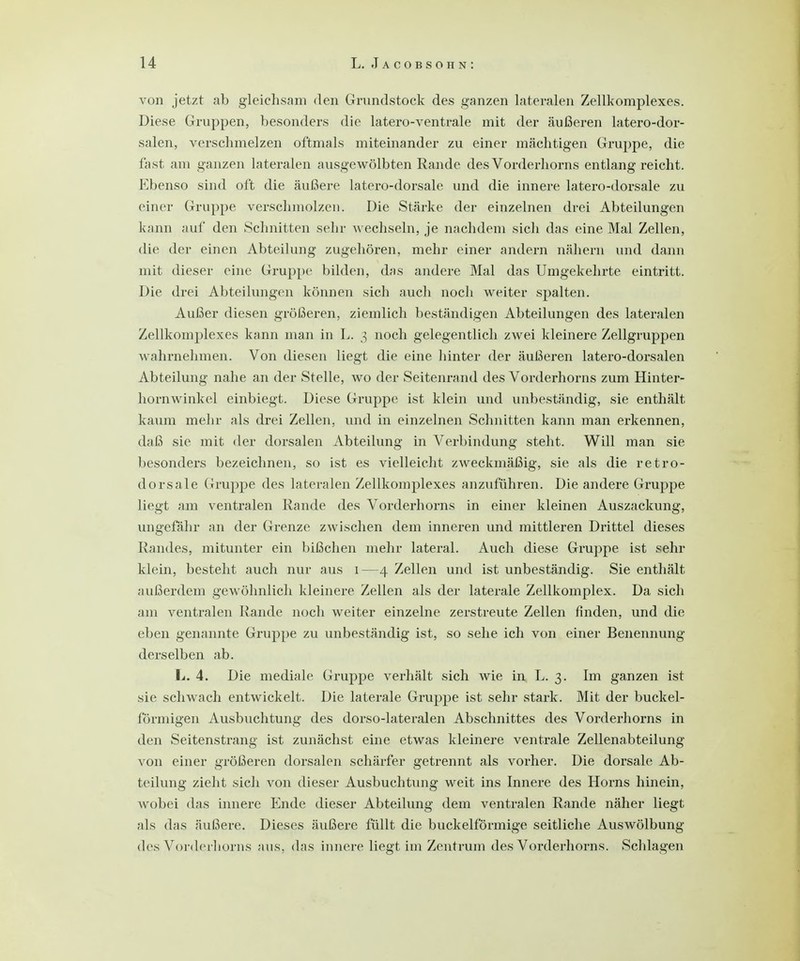 von jetzt ab gleichsam den Grundstock des ganzen lateralen Zellkomplexes. Diese Gruppen, besonders die latero-ventrale mit der äußeren latero-dor- salen, verschmelzen oftmals miteinander zu einer mächtigen Gruppe, die fast am ganzen lateralen ausgewölbten Rande des Vorderhorns entlang reicht. Ebenso sind oft die äußere latero-dorsale und die innere latero-dorsale zu einer Gruppe verschmolzen. Die Stärke der einzelnen drei Abteilungen kann auf den Schnitten sehr wechseln, je nachdem sich das eine Mal Zellen, die der einen Abteilung zugehören, mehr einer andern nähern und dann mit dieser eine Gruppe bilden, das andere Mal das Umgekehrte eintritt. Die drei Abteilungen können sich auch noch weiter spalten. Außer diesen größeren, ziemlich beständigen Abteilungen des lateralen Zellkomplexes kann man in L. 3 noch gelegentlich zwei kleinere Zellgruppen wahrnehmen. Von diesen liegt die eine hinter der äußeren latero-dorsalen Abteilung nahe an der Stelle, wo der Seitenrand des Vorderhorns zum Hinter- hornwinkel einbiegt. Diese Gruppe ist klein und unbeständig, sie enthält kaum mehr als drei Zellen, und in einzelnen Schnitten kann man erkennen, daß sie mit der dorsalen Abteilung in Verbindung steht. Will man sie besonders bezeichnen, so ist es vielleicht zweckmäßig, sie als die retro- dorsale Gruppe des lateralen Zellkomplexes anzuführen. Die andere Gruppe liegt am ventralen Rande des Vorderhorns in einer kleinen Auszackung, ungefähr an der Grenze zwischen dem inneren und mittleren Drittel dieses Randes, mitunter ein bißchen mehr lateral. Auch diese Gruppe ist sehr klein, besteht auch nur aus 1—4 Zellen und ist unbeständig. Sie enthält außerdem gewöhnlich kleinere Zellen als der laterale Zellkomplex. Da sich am ventralen Rande noch weiter einzelne zerstreute Zellen finden, und die eben genannte Gruppe zu unbeständig ist, so sehe ich von einer Benennung derselben ab. L. 4. Die mediale Gruppe verhält sich wie in L. 3. Im ganzen ist sie schwach entwickelt. Die laterale Gruppe ist sehr stark. Mit der buckei- förmigen Ausbuchtung des dorso-lateralen Abschnittes des Vorderhorns in den Seitenstrang ist zunächst eine etwas kleinere ventrale Zellenabteilung von einer größeren dorsalen schärfer getrennt als vorher. Die dorsale Ab- teilung zieht sich von dieser Ausbuchtung weit ins Innere des Horns hinein, wobei das innere Ende dieser Abteilung dem ventralen Rande näher liegt als das äußere. Dieses äußere füllt die buckeiförmige seitliche Auswölbung des Vorderhorns aus. das innere liegt im Zentrum des Vorderhorns. Schlagen