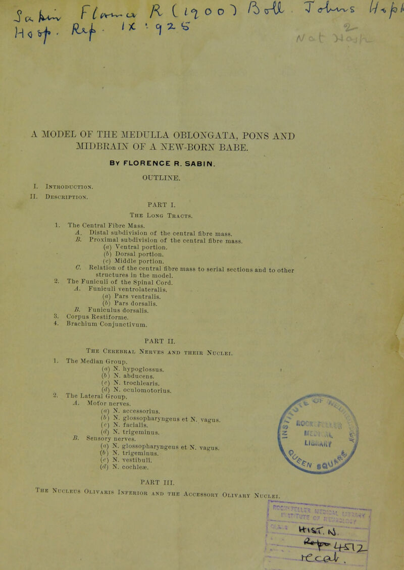 /I C O O ^ A MODEL OF THE ]\[EDULLA OBLONGATA, PONS AND MIDBEAIN OF A NEW-BOKN BABE. BY FLORENCE R. SABIN. I. iNTKODUCnON. II. Desckiptiox. OUTLINE. PART I. The Long Tracts. I}. C. .3. 4. 1. The Central Fibre Mass. A. Distal subdivision of the central fibre mass. Proximal subdivision of the central fibre mass, (a) Ventral portion. (&) Dorsal portion, (c) Middle portion. Relation of the central fibre mass to serial sections and to other structures in the model. The Funiculi of the Spinal Cord. A. Funiculi ventrolateralis. (a) Pars ventralis. (b) Pars dorsalis. B. Funiculus dorsalis. Corpus Restiforme. Brachium Conjunctivum. PART II. The Cekebraj. Nerves and their Nuclei. The Median Group. (a) N. hypoglossus. (6) N. abducens. (c) N. trochlearis. (d) N. oculomotorius. 2. The Lateral Group. A. Motor nerves. («) N. accessorius. (&) N. glossopharyngeus et N. vagus. (c) N. facialis. (d) N. trigeminus. B. Sensory nerves. («) N. glossopharyngeus et N. vagus. (6) N. trigeminus. (c) N. vestibuli. {d) N. cochlese. PART III. The Nucleus Olivaris Inferior and the Accessory Olivary Nuclei.