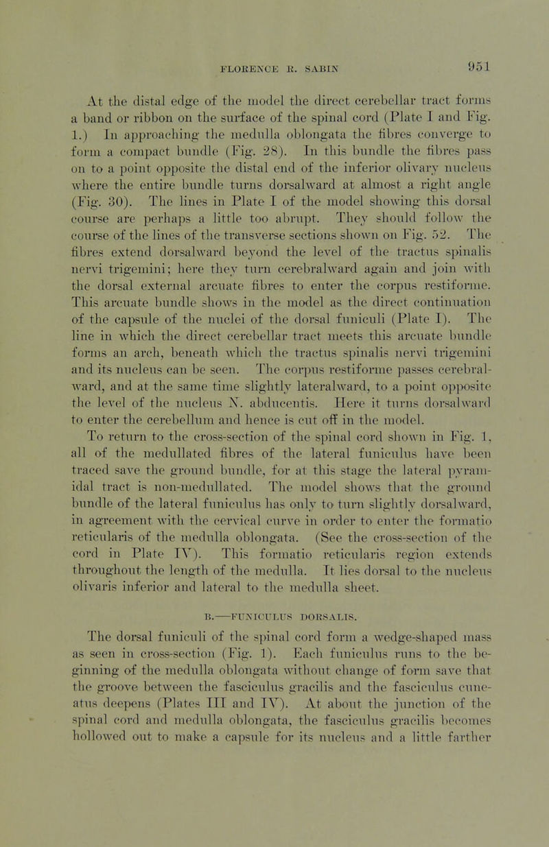 At the distal edge of the model the direct cerehellar tract forms a band or ribbon on the surface of the spinal cord (Plate I and Fig. 1.) In approaching the medulla oblongata the fibres converge to form a com{>act bundle (Fig. 28). In this bundle the fibres pass on to a point opposite the distal end of the inferior olivary nucleus where the entire bundle turns dorsahvard at almost a right angle (Fig. 30). The lines in Plate I of the model showing this doi-sal coui*se are perhaps a little too abrupt. They should follow the course of the lines of the transvei*se sections shown on Fig. 52. The fibres extend dorsalward beyond the level of the tractus si>inalis nervi trigemini; here they tuni cerebralward again and join with the dorsal external arcuate fibres to enter the corpus restiforme. This arcuate bundle shows in the model as the direct continuation of the capsule of the nuclei of the dorsal funiculi (Plate I). The line in which the direct cerebellar tract meets this ai-cuate bundle forms an arch, beneath which the tractus spinalis nervi trigemini and its nucleus can be seen. The corjnis restiforme passes cerebral- ward, and at the same time slightly lateralward, to a point op]X)site the level of the nucleus X. abducentis. Here it turns dorsalward to enter the cerebellum and hence is cut off in the model. To return to the cross-section of the spinal cord shown in Fig. 1, all of the medullated fibres of the lateral funiculus have been traced saA'e the ground bundle, for at this stage the lateral pyram- idal tract is non-meduUated. The model shows that the ground bundle of the lateral funiculus has only to ttmi slightly doi*salward, in agreement with the cervical curve in order to enter the fomiatio reticularis of the medulla oblongata. (See the cross-section of the cord in Plate lY). This formatio reticulars region extends throughout the length of the medulla. It lies dorsal to the nucleus olivaris inferior and lateral to the raednlla sbeet. n. FUNK ri.US DORSALIS. The dorsal funiculi of the spinal cord form a wedge-shaped mass as seen in cross-section (Fig. 1). Each funiculus runs to the be- ginning of the medulla oblongata without change of form save that the gToove between the fasciculus gracilis and the fasciculus cune- atns deepens (Plates III and IV). At about the junction of the spinal cord and medulla oblongata, the fasciculus gracilis becomes hollowed out to make a capsule for its nucleus and a little farther
