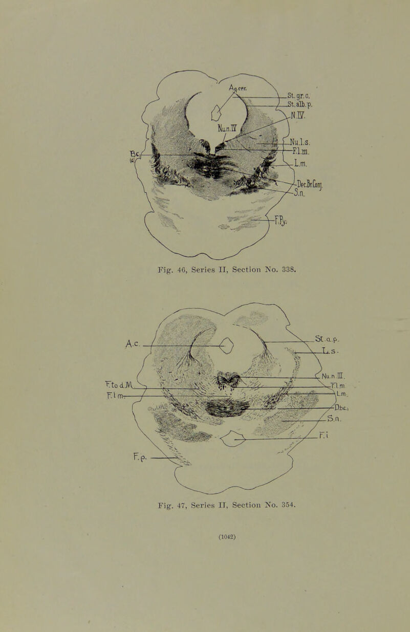 Fig. 47, Series IT, Section No. 354.
