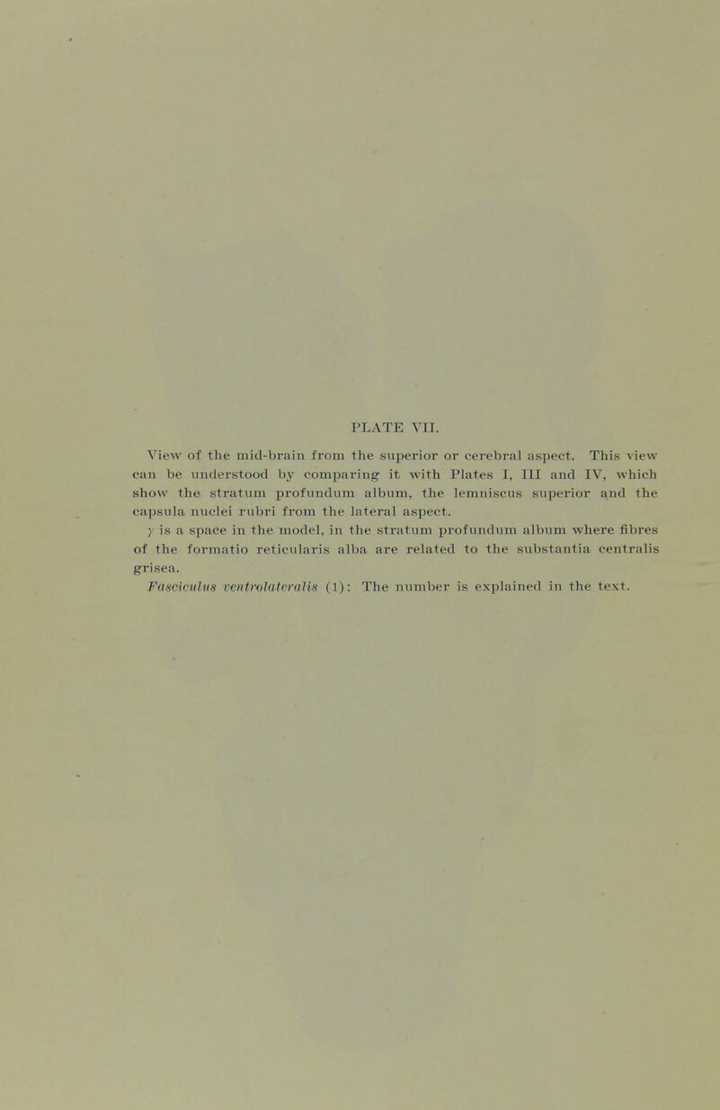 View of the mid-brain from the superior or cerebral aspect. This view can be understood by comparing it with Phites I, III and IV, which show the stratum profundum album, the lemniscus superior and the capsula nuclei rubri from the lateral asiject. 7 is a space in the model, in the stratum profundum album where fibres of the formatio reticularis alba are related to the substantia centralis grisea. Fasciculus ventrolateralis (1): The number is explained in the text.