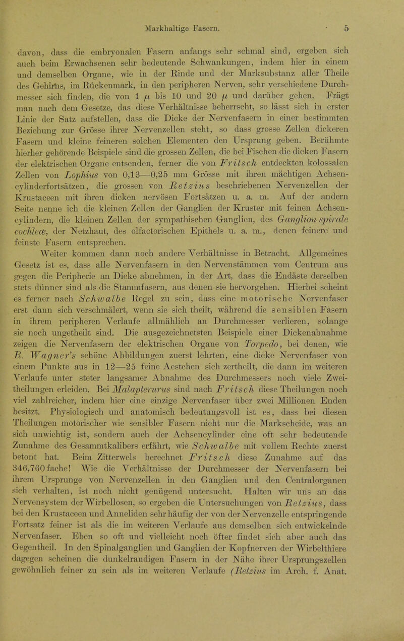 davou, class clie embiyonalen Fasern aufangs sehr schmal sind, ergeben sich auch beiin Erwachsenen sehi- bedeuteiide Scbwaiikungen, indem hier in einem und demselben Organe, wie in der Rinde und der Marksubstanz aller Theile des Gehirtis, ini Riickenniark, in den peripheren Nerven, sehr verschiedene Durch- messer sich findeji, die von 1 /ic bis 10 und 20 fi und dariiber gehen. Fragt man nach dem Gesetze, das diese Verhaltnisse behen-scht, so lasst, sich in erster Linie der Satz aufstellen, dass die Dicke der Nervenfasern in einer bestimmten Beziehung zur Grosse ihrer Nervenzellen steht, so dass grosse Zellen dickeren Fasern und kleijie feineren solchen Eleinenten den Ursprung geben. Beriihmte hierher gehorende Beispiele sind die grossen Zellen, die bei Fischen die dicken Fasern der elektrischen Organe entsenden, ferner die von Frit sell entdeckten kolossalen Zellen von LopJlius von 0,13—0,25 mm Grosse mit ihren machtigen Achsen- cyHnderfortsatzen, die grossen von Hetsius beschriebenen Nervenzellen der Krustaceen mit ihren dicken nervosen Foitsatzen u. a. m. A.uf der andern Seite nenne ich die klemen Zellen der Ganglien der Kruster mit feinen Achsen- cylindern, die kleinen Zellen der sympathischen Ganglien, des Ganglion s^nrale cochlece, der Netzhaut, des olfactorischen Epithels u. a. m., denen feinere und feinste Fasern entsprechen. Weiter kommen dann noch andere Verhaltnisse in Betracht. Allgemeines Gesetz ist es, dass alle Nervenfasern in den Nervenstammen vom Centrum aus gegen die Peripherie an Dicke abnehmen, in der Art, dass die Endaste derselben stets diinner sind als die Stammfasern, aus denen sie hervorgehen. Hierbei scheint es ferner nach Schtvalhe Kegel zu sem, dass erne motorische Nervenfaser erst dann sich verschmalert, wenn sie sich theilt, wahrend die sensiblen Fasern in ihrem peripheren Verlaufe allmahlich an Durchmesser verlieren, solange sie noch ungetheHt sind. Die ausgezeichnetsten Beispiele einer Dickenabnahme zeigen die Nervenfasern der elektrischen Organe von To7'pedo, bei denen, wie B,. Wagner's schone Abbildungen zuerst lehrten, eine dicke Nervenfaser von einem Punkte aus in 12—25 feine Aestchen sich zertheilt, die dann im weiteren Verlaufe unter steter langsamer Abnahme des Dm-chmessers noch viele Zwei- theilungen erleiden. Bei Malapterurus sind nach Frit sell diese Theilungen noch viel zahlreicher, indem hier eine einzige Nervenfaser iiber zwei Milhonen Enden besitzt. Physiologisch und anatomisch bedeutungsvoU ist es, dass bei diesen Theilungen motorischer wie sensibler Fasern nicht nur die Markscheide, was an sich unwichtig ist, sondern auch der Achsencylinder eine oft sehr bedeutende Zunahme des Gesammtkalibers erfahrt, wie Schwalhe mit vollem Rechte zuerst betont hat. Beim Zitterwels berechnet Frit sell diese Zunahme auf das 346,760 fache! Wie die Verhaltnisse der Durchmesser der Nervenfasern bei ihrem Ursprunge von Nervenzellen in den Ganglien und den Centralorganen sich verhalten, ist noch nicht geniigend untersucht. Halten wir uns an das Nervensystem der Wirbellosen, so ergeben die Untersuchungen yonJRetzius, dass bei den Krustaceen und Anneliden sehrhaufig der von der Nervenzelle entspringende Fortsatz feiner ist als die im weiteren Verlaufe aus demselben sich eiitwickelnde Nervenfaser. Eben so oft und vielleicht noch ofter findet sich aber auch das Gegentheil. In den Spinalganglien und Ganglien der Kopfnerven der Wirbelthiere dagegen scheinen die dunkelrandigen Fasern in der Niihe ihrer Ursprungszellen gewohnlich feiner zu sein als im weiteren Verlaufe (Retzius im Arch. f. Anat.