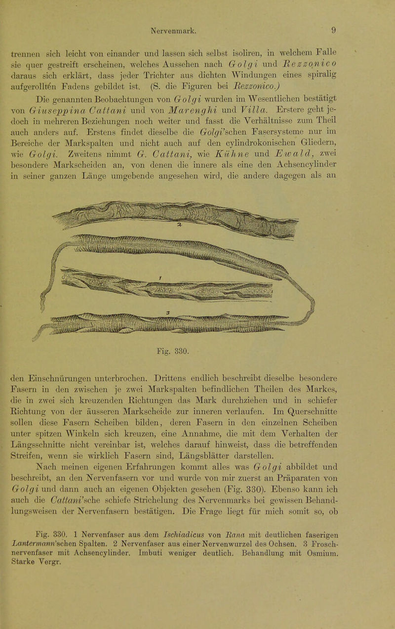 treniien sich leicht voii einander und lasseii sich selbst isoliren, in welchem Falle sie quer gestreift erscheinen, welches Aussehen nach Golgi und Mezzonico <laraus sich erkliirt, dass jeder Trichter aus dichten Windungen eines spiralig aufgerollt^n Fadens gebildet ist. (S. die Figuren bei Rezzonico.) Die genannten Beobachtungen von Golgi wurden im Wesentlichen bestatigt von Giuseppina Cattani und von Marenghi und Villa. Erstere geht je- doch in niehreren Beziehungen noch waiter und fasst die Verhaltnisse zum Theil auch anders auf. Erstens fijidet dieselbe die Golgi'schen Fasersysteme nur im Bereiche der Markspalten und nicht auch auf den cylindrokonischen Gliedern, Avie Golgi. Zweitens nimmt G. Cattani, wie Kiihne und Eivald, zwei besondere Markscheiden an, von denen die innere als eine den Achsencylinder in seiner ganzen Lange umgebende angesehen wird, die andere dagegen als an Fig. 330. den Einschniirungen unterbrochen. Drittens endlich beschi-eibt dieselbe besondere Fasern in den zwischen je zwei Markspalten befindlichen Theilen des Markes, (he in zwei sich kreuzenden Richtungen das Mark durchziehen und in schiefer Richtung von der ausseren Markscheide zur inneren verlaufen. Im Querschnitte sollen diese Fasern Scheiben bilden, deren Fasern in den einzelnen Scheiben unter spitzen Winkeln sich kreuzen, eine Annahme, che mit dem Verhalten der Langsschnitte nicht vereinbar ist, welches darauf hinweist, dass die betreffenden Streifen, wenn sie wirklich Fasern sind, Langsblatter darstellen. Nach meinen eigenen Erfahrungen kommt alles was Golgi abbildet und beschreibt, an den Nervenfasern vor und wurde von mir zuerst an Praparaten von Golgi und dann auch an eigenen Objekten gesehen (Fig. 330). Ebenso kann ich auch die Cattani'ache schiefe Strichelung des Nervenmarks bei gewissen Behand- lungsweisen der Nervenfasern bestatigen. Die Frage liegt fiir mich somit so, ob Fig. 330. 1 Nervenfaser aus dem Ischiadicus von Rami mit deutlichen faserigeii Lcmierwrmn'schen Spalten. 2 Nervenfaser aus einer Nervenwurzel des Ochsen. 8 Frosch- nervenfaser mit Achsencylinder. Imbuti weniger deutlich. Behandlung mit Osmium. Starke Vergr.