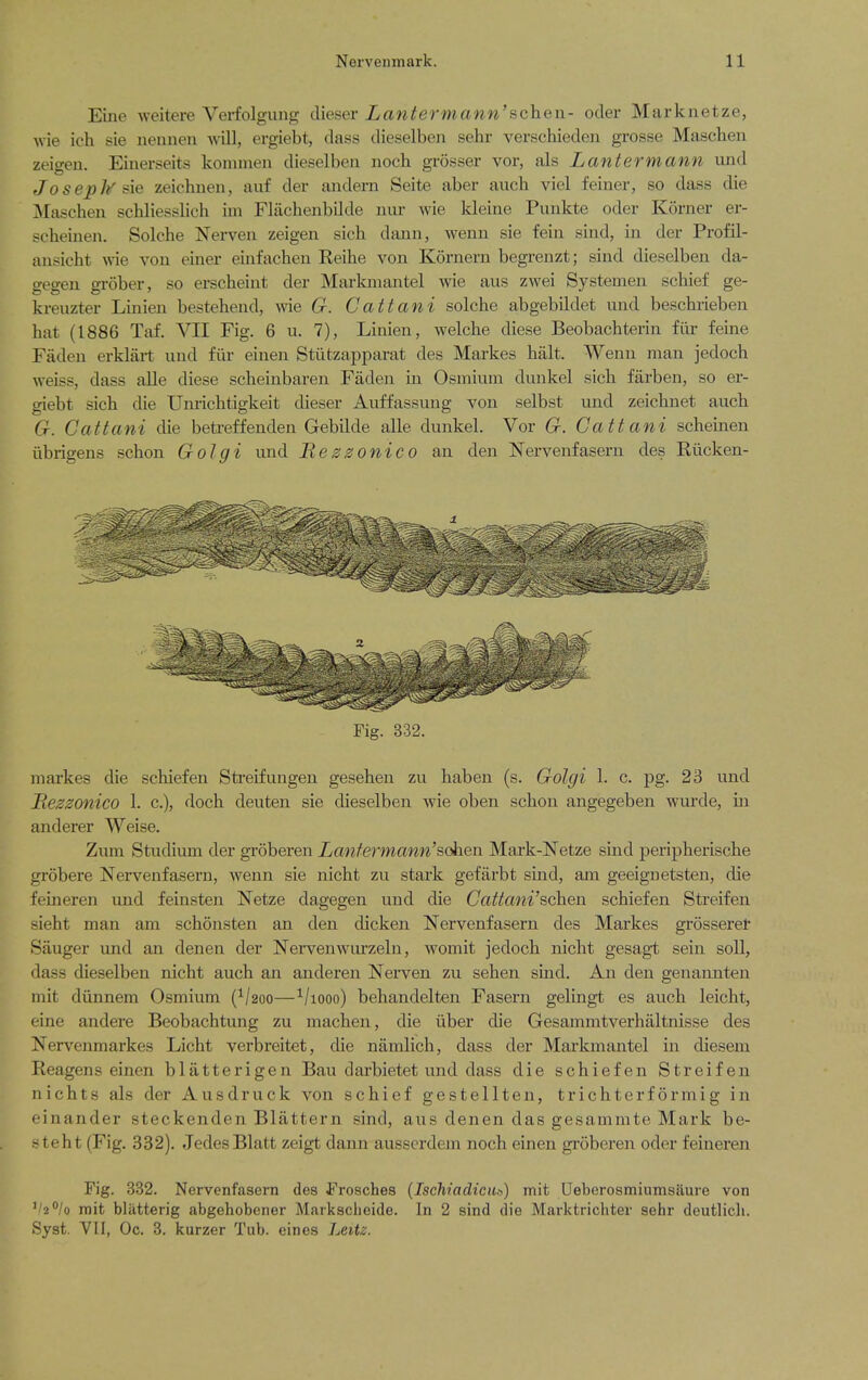 Eine weitere Verfolgung clieser Lantermann'schen- oder Marknetze, wie ich sie iiennen will, ergiebt, class dieselben sehr verschieden grosse Maschen zeigen. Einerseits kommen dieselben noch grosser vor, als Lantermann und Joseph sie zeichneii, auf der andern Seite aber auch vicl feiner, so dass die Maschen schliesslich im Flachenbilde nur wie kleine Punkte oder Korner er- seheinen. Solche Nerven zeigen sich dtinn, wenn sie fein sind, in der Profil- ansicht wie von einer einfacheu Reihe von Kornern begrenzt; sind dieselben da- gegen grober, so erscheint der Markmantel wie aus zwei Systemen scbief ge- kreuzter Linien bestehend, wie G^. Cattani solche abgebildet und beschrieben hat (1886 Taf. VII Fig. 6 u. 7), Linien, welche diese Beobachterin fiir feine Fadeu erkljirt und fiir einen Stiitzapparat des Markes halt. Wenn man jedoch weiss, dass aUe diese scheinbaren Fiiden in Osmium dunkel sich farben, so er- giebt sich die Unrichtigkeit dieser Auffassung von selbst und zeichnet auch G. Cattani die beti-effenden Gebilde alle dunkel. Vor G. Cattani schemen iibrigens schon Golgi und Res^onico an den Nervenfasern des Riicken- Fig. 332. markes die schiefen Streifungen gesehen zu haben (s. Golgi 1. c. pg. 23 und Fieszonico 1. c), doch deuten sie dieselben wie oben schon angegeben wurde, in anderer Weise. Zum Studium der groberen Lantermann'sc^Qn Mark-Netze sind peripherische grobere Nervenfasern, wenn sie nicht zu stark gefiirbt sind, am geeignetsten, die feineren und feinsten Netze dagegen und die Cattani'sc^en schiefen Streifen sieht man am schonsten an den dicken Nervenfasern des Markes grosserer Sauger und an denen der Nervenwiu'zeln, womit jedoch nicht gesagt sein soil, dass dieselben nicht auch an anderen Nei-ven zu sehen sind. An den genannten mit diinnem Osmium (^/2oo—-^/looo) behandelten Fasern gelingt es auch leicht, eine andere Beobachtung zu machen, die iiber die Gesammtverhaltnisse des Nervenmarkes Licht verbreitet, die namlich, dass der Markmantel in diesem Reagens einen blatterigen Ban darbietet und dass die schiefen Streifen nichts als der Ausdruck von schief gestellten, trichterformig in einander steckenden Blattern sind, aus denen das gesammte Mark be- steht (Fig. 332). JedesBlatt zeigt dann ausserdem noch einen groberen oder feineren Fig. 332. Nervenfasern des Frosches {Ischiadica.-,) mit Ueberosmiumsaure von '/2*'/o mit bliitterig abgehobener Maiksclieide. In 2 sind die Marktrichter sehr deutlicli. Syst. VII, Oc. 8. kurzer Tub. eines Leitz.
