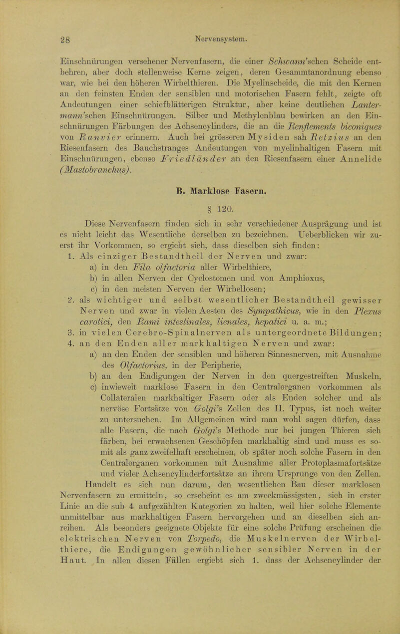 Einschnuningeii versehener Nervenfaserii, die einer Schwann'achen Scheide ent- behren, aber doch etellenweise Kerne zeigen, deren Gesammtanordnung ebenso wai', wie bei den hoheren Wirbelthioren. Die Myelinscheide, die mit den Kernen an den feinsten Enden der sensiblen und motorischen Fasern fehlt, zeigte oft Andeutuugen einer schiefblatterigen Struktur, aber keine deutlichen Lanter- maww'schen Einschniirungen. Silber und Methylenblau bewirken an den Ein- schniirungen Fiirbungen des Achsencylinders, die an die Henflements hiconiques von lianvier erinnern. Aucb bei grosseren My si den sah Tietzius an den Riesenfasern des Bauchstranges Andeutungen von myelinhaltigen Fasern mit Einschniirungen, ebenso Friedldnder aii den Riesenfasern einer Annelide (Mastohranchus). B. Marklose Fasern. § 120. Diese Nervenfasern finden sicb in sebr verschiedener Auspragung und ist es nicht leicbt das Wesentliche derselben zu bezeichnen. Ueberblicken wir zu- erst ihi' Vorkommen, so ergiebt sich, dass dieselben sich finden: 1. Als einziger Bestandtheil der Nerven und zwar: a) in den Fila olfactoria aller Wirbelthiere, b) in alien Nerven der Cyclostoraen und von AmpMoxus, c) in den meisten Nerven der AVii'bellosen; 2. als wichtiger und selbst wesentlicher Bestandtheil gewisser Nerven und zwar in vielen Aesten des Sympathicus, wie in den Plexus carotid, den Bami inteslinales, lienales, hepatici u. a. m.; 3. in vielen Cerebro-Spinalnerven als untergeordnete Bildungen; 4. an den Enden aller markhaltigen Nerven und zwar: a) an den Enden der sensiblen und hoheren Sinnesnerven, mit Ausnahine des Olfactorius, in der Peripherie, b) an den Endigungen der Nerven in den quergestreiften Muskeln, c) inwieweit marklose Fasern in den Centralorganen vorkonunen als Collateralen markhaltiger Fasern oder als Enden solcher und als nervose Fortsatze von Golgi's Zellen des II. Typus, ist noch weiter zu untersuchen. Im Allgemeinen wird man wohl sagen diirfen, dass alle Fasern, die nach Golgi's Methode nur bei jungen Thieren sich farben, bei erwachsenen Geschopfen markhaltig sind und muss es so- mit als ganz zweifelhaft erscheinen, ob spater noch solche Fasern in den Centralorganen vorkommen mit Ausnahme aller Protoplasmafortsatze und vieler Achsencylinderfortsatze an ihrem Ursprunge von den Zellen. Handelt es sich nun darum, den wesentlichen Bau dieser mai-klosen Nervenfasern zu ermitteln, so erscheint es am zweckmiissigsten, sich in erster Linie an die sub 4 aufgezahlten Kategorien zu halten, weil hier solche Elemento unmittelbar aus markhaltigen Fasern hervorgehen und an dieselben sich an- reihen. Als besonders geeignete Objekte fiir eine solche Priifiing erschemen die elektrischen Nerven von Torpedo, die Muskelnerven der Wirbel- thiere, die Endigungen gewohnlicher sensibler Nerven in der Haut. In alien diesen Fallen ergiebt sich 1. dass der Achsencylmder der