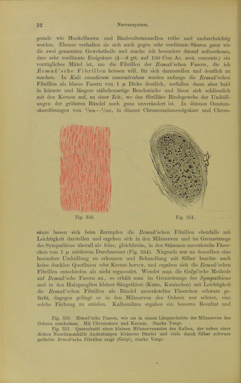 gerade wio MuskelfaHeni und Bindesubstanzzellen triibe und undurchsichtig- werden. Ebenso verhalten sie sich auch gegeii sehr verduiinte Sauren ganz wie die zwei geiiaiinten Gewebslhcile und mache ich besonders darauf aufiiierksam, (lass sehr verdiinnte Essigsaure (4—8 gtt. auf 100 Ccin Ac. acet. conceiitr.) ein vorziigliches Mittcl ist, uni die Fibrilleii der lieniak'ficheii Fasern, die ich RemaJc'sche Fibrillen heissen will, fiir sich darzustellen und deutlich zu machen. In Kali causticum concentratum werden anfangs die iiema/c'schen Fibrillen als blasse Fasern von 1 Dicke deutlich, zerfallen dann aber bald in kiirzere und langere stiibchenartige Bruchstiicke und losen sich schliesslich mit den Kernen auf, zu einer Zeit, wo das fibrillare Bindegewebe der Umhiill- ungen der groberen Biindel noch ganz unverandert ist. In diinnen Osmiuni- saurelosungen von ^/20o—'/soo, in diinner Chromosmiumessigsaure und Chroni- saure lassen eich beim Zerzupfen die i^ejna/c'schen Fibrillen ebenfalls mit Leichtigkeit darstellen und ergeben sich in den Milznerven und iin Grenzstrange des Sympathicus iiberall als feine, gleichbreite, in den Stammen unverastelte Faser- cheii von 1 ^.i niittlerem Durchinesser (Fig. 354). Nirgends war an denselben eiiie besondere Umhiillung zu erkennen und Behandliuig mit Silber brachte auch keine dunklen Querlinien oder Ki'euze hervor, und ergaben sich die J?e;?m/r'schen Fibrillen entschieden als nicht segmentirt. Wendet man die Golgi'sche Methode auf Bemak'sche Fasern an, so erhalt man im Grenzstrange des Sympathicus und in den Halsganglien kleiner Saugethiere (Katze, Kaninchen) mit Leichtigkeit die jRema/c'schen Fibrillen als Biindel unverastelter Faserchen schwai-z ge- farbt, dagegen gelingt es in den Milznerven des Ochsen nur schwei, eine solche Fiirbung zu erzielen. Kalbsmilzen ergaben ein besseres Resultat und Fig. 350. Bemak'sche Fasern, -wie sie in einem Langsschnitte der Milznerven des Ochsen erscheinen. Mit Chromsiiure und Karmin. Starke Vergr. Fig. 351. Querschnitt eines kleinen Milznervenastes des Kalbes, der neben einer dicken Neurilemmhiille Andeutungen kleinerer Biindel und viele durch Silber schwarz gefarbte Bemak'Bche Fibrillen zeigt {Golgi), starke Vergr.