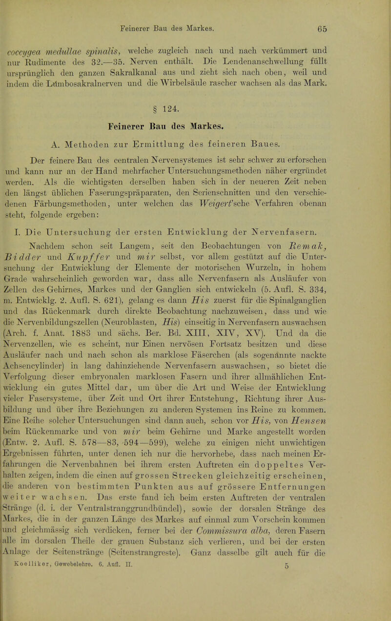 eocci/cfea meduUae spinalis, Avelche ziigleich nacli und iiach verkunimert und nur Rudunente des 32.—;35. Nerven eiithiilt. Die Lendenanschwellung fuUt urspriinglich den ganzen Sakralkanal aus und zieht sich nach oben, weil und indeni die Ltlmbosakralnerven und die Wirbelsaule rascher wachsen als das Mark. § 124. Feinerer Ban des Markes. A. Methoden zur Ermittlung des feineren Baues. Der feinere Ban des centralen Nei-vensystemes ist sehr schwer zu erforschen und kann nur an der Hand mehrfacber Untersuchungsmetboden naher ergriindet werden. Als die wichtigsten derselben baben sicb in der neueren Zeit neben den langst ublicben Faserungspraparaten, den Serienscbnitten und den verscbie- deuen Farbiuigsmetboden, unter welcben das Weigerfs.ohe Verfabren obenan stebt, folgende ergeben: I. Die Untersucbung der ersten Entwicklung der Nervenfasern. Nachdem schon seit Langem, seit den Beobachtungen von Rem ah, Si (Icier und Kupffer und mir selbst, vor allem gestiltzt auf die Unter- sucbung der EntAvicklung der Elemente der motoriscben Wurzeln, in bobem Grade Avabi'scbeinlicb geworden war, dass alle Nervenfasem als Auslaufer von Zellen des Gebirnes, Markes und der Ganglien sich entwickeln (5. Aufl. S. 334, m. Entwicklg. 2. Aufl. S. 621), gelang es dann His zuerst fiir die Spinalganglien und das Riickenmark durch direkte Beobachtung nacbzuweisen, dass und wie die NeiTenbildungszellen (Neuroblasten, His) einseitig in Nervenfasern auswacbsen (Arcb. f. Anat. 1883 und sacbs. Ber. Bd. XIII, XIV, XV). Und da die Xei-venzeUen, wie es scbeint, nur Einen nervosen Fortsatz besitzen und diese Auslaufer nach und nacb scbon als marklose Fasercben (als sogenflnnte nackte Acbsencybnder) in lang dabinziebende Nervenfasern auswacbsen, so bietet die Verfolgung dieser embryonalen marklosen Fasern und ibrer allmablicben Ent- wicklung ein gutes Mittel dar, um iiber die Art und Weise der Entwicklung vieler Fasersysteme, iiber Zeit imd Ort ikrer Entstebung, Ricbtung ibrer Aus- bildimg und iiber ibre Beziebungen zu anderen Systemen ins Reine zu konmien. Eine Reibe solcher Untersucbungen sind dann aucb, scbon vor His, von Hensen beim Riickenmarke und von mir beim Gebirne und Marke angestellt worden (EntAv. 2. Aufl. S. 578—83, 594—599), Avelcbe zu einigen nicht unwicbtigen Ergebnissen fiihrten, unter denen icb nur die bei-vorbebe, dass nacb meinen Er- fahrungen die Nervenbabnen bei ibrem ersten Auftreten ein doppeltes Ver- halten zeigen, indem die einen auf grossen Strecken gleicbzeitig erscheinen, die anderen von bestimmten Punkten aus auf grossere Entfernungen w e i t e r av a c b s e n. Das erste fand icb beim ersten Auftreten der venti-alen Strange (d. i. der Ventralstranggrundbiindel), sowie der dorsalen Sti-ange des Markes, die in der ganzen Lange des Markes auf einnial zum Vorscbein kommen und gleicbmassig sicb verdicken, ferner bei der Commissura alba, deren Fasern alle im dorsalen Tbeile der grauen Substanz sicb verlieren, und bei der ersten Anlage der Seitenstrange (Seitenstrangi-este). Ganz dasselbe gilt aucb fiir die Koe Hiker, Gewebelahro. 6. Aufl. II. K