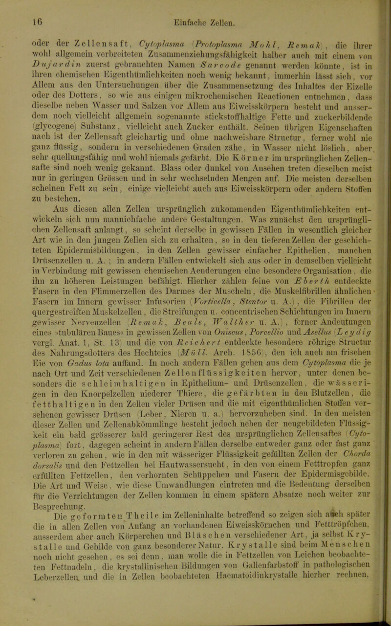 Oder der Zelle iisaft, Cytoplcisina (Protoplasma Mo hi, Hem ah . die ilirer wohl allg-emein verbreiteten Zusammenzieliung-sfaliigkcit lialbor aucli mit ehiem von Dujardin zuerst gebraucliten Namen Save ode genaiuit werden konnte, ist in iliren clieniischen Eigenthiimlichkeiten noch wenig bekannt, immerhin laisBt sicli. vor Allem aiis den Untersuclmngen iiber die Zu«aminensetzung des Inlialtes der Eizelle Oder des Dotters, so wie aus einigen mikrocheniisclien Reactionen entnehrnen, dass dieselbe neben Wasser iind Salzen vor Allem aus Eiw(3isskorpern besteht iind au.sser- dem noch vielleicht allgemein sogenannte stickstoff'haltige Fette und zuckerbildende (glycogene) Substanz, vielleicht auch Zucker enthalt. Seinen tibrigen Eigenschaften nach ist der Zellensaft gleichartig und ohne nachweiisbare Structur. ferner wolil nie ganz fltissig, sondern in verschiedenen Graden zahe, in AVasser nicht loslich, aber sehr quellung.sfahig und wohl niemals gefarbt. Die Korner im urspriinglichen Zellen- safte sind noch wenig gekannt. Blass oder dunkel von Ansehen treten dieselben meist nur in geringen Grossen und in sehr wechselnden Mengen auf. Die raeisten derselben scheinen Fett zu sein, eiuige vielleicht auch aus Eiweisskorpern oder andern Stoffen I zu bestehen. • ' Aus diesen alien Zellen urspriinglich zukommenden Eigenthiimlichkeiten ent- wickeln sich nun mannichfache andere Gestaltungen. Was zunachst den urspriingli- | chen Zellensaft anlangt, so scheint derselbe in gewissen Fallen in wesentlicli gleicher { Ai't wie in den jungen Zellen sich zu erhalten, so in den tieferen Zellen der gescliich- ! teten Epidermisbilduugen. in den Zellen gewisser einfacher Epithelien. manchen | Driisenzellen u. A. ; in andern Fallen entwickelt sich aus oder in demselben vielleicht } inVerbindung mit gewissen chemischen Aenderungen eine besondere Organisation . die 'i ihn zu hdheren Leistungen befahigt. Hierher ziihlen feine von Eherth entdeckte j Fasern in den Flimmerzellen des Darmes der Muscheln, die Muskelfibrillen ahulichen Fasern im Innern gewisser Infusorien [Vorticella, S tenter vi. A.), die Fibrillen der quergestreiften Mujjkelzellen, die Streifungen u. concentrischen Schichtungen im Innern gewisser Nervenzellen [Rem ah, Be ale, Walt her u. A.) , ferner Andeutungen eines »tubularen Baues« in gewissen Zellen von Oniscus, Porcellio \m(\. Asellus [Ley dig vergl. Anat. 1, St. 13) und die von Reichert entdeckte besondere rohrige Structur des Nahruugsdotters des Hecliteies [Mil 11. Arch. l S5G i. den ich auch am frischen Eie von Gadus lota aufFand. In noch andern Fallen gehen aus dem Cytoplasma die je nach Ort und Zeit verschiedenen Z e 11 e n f 1 ii s s i g k e i t e n her vor, unter denen be- sonders die s c h 1 e i m li a 11 i g e n in Epithelium- und Driisenzellen, die w a s s e r i- gen in den Knorpelzellen niederer Thiere, die g e f ii r b t e n in den Blutzellen, die fetthaltigen in den Zellen vieler Driisen und die rait eigenthiimlichen Stoffen ver- sehenen gewisser Driisen (Leber, Nieren u. a.) liervorzuheben sind. In den meisten dieser Zellen und Zellenabkoramlinge besteht jedoch neben der neugebildeten Fliis^g- keit ein bald grosserer bald geringerer Rest des urspriinglichen Zellensaftes f Cyto- plasmd) fort, dagegen scheint in andern Fallen derselbe entweder ganz oder fast ganz ' verloren zu gehen. wie in den mit wasseriger Fliissigkeit gefiillten Zellen der Chorda dorsalis und den Fettzellen bei Hautwassersucht, in den von einera Fetttropfen ganz erfiillten Fettzellen, den verhornten Schiippclien und Fasern der Epidermisgebilde. Die Art und Weise, wie diese Umwandlungen eintreten und die Bedeutung derselben fiir die Verrichtungen der Zellen kommen in einem spatern Absatze noch welter zur Besprechung. Die geformten Theile im Zelleninhalte betreffend so zeigen sich awch spiiter die in alien Zellen von Anfting an vorhandenen Eiweisskornchen und Fetttropfchen. ausserdem aber auch Korperchen und Bliischen verschiedener Art, ja selbst Kry- stalle und Gebilde von ganz besondererNatur. Krystalle sind beim Mens chen noch nicht gesehen. es sei denn, man wolle die in Fettzellen von Leichen beobachte- ten Fettnadeln, die krystaUinischen Bildungen von Gallenfarbstoff in pathologischen Leberzellea und die in Zellen beobachteten Haematoidinkrystalle hierher rechnen.