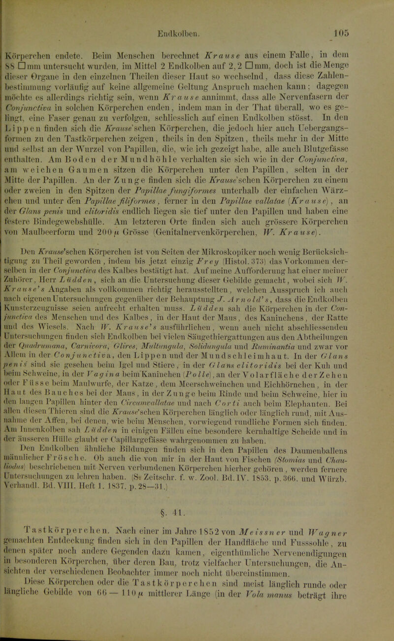 Kiirperclien endete. Beim Mensclien bereclmet Kranse aus einem Falle, in dein SS □mm untersiiclit wurden, im Mittel 2 Endkolben auf 2,2 Drnm, docli ist dieMenge dieser Organe in den einzelnen Thcilen dieser Haut so wechselnd, dass diese Zalilen- bestiiumiing- vorliiulig auf keine allgemeine Geltung Anspriicli machen kann; dagegen moelite es allerdings richtig sein, wenn Krause annimmt, dass alle Nervenfasern der Covjunctiva in solclien Korperchen enden, indem man in der Tliat iiberall, wo es ge- lingt, eine Faser genaii zu verfolgen, schlicsslich auf einen Endkolben stosst. In den Lippen finden sicli die Krcmse ^q\\q\\ Korperclien, die jedocli hier audi Uebergangs- formen zu den Tastkorpcrclien zeigen, tlieils in den Spitzen, tlieils mehr in der Mitte und sclbst an der Wurzel von Papillen, die, Avie ich gezeigt habe, alle aucli Blutgefilsse entlialten. Am Bod en der Mundhohle verhalten sie sicli wie in der Covjunctiva, am we ich en Gaumen sitzen die Korperclien unter den Papillen, selten in der Mitte der Papillen. An der Zunge finden sicli die Krause-^Qhew Korperclien zu einem Oder zweien in den Spitzen der Papillae fungiformes unterhalb der einfaclien Warz- clien und unter d*en Papillae Jiliformes, ferner in den Papillae vallatae [Kr ause), an der Ghms penis und clitoridis endlicli liegen sie tief unter den Papillen und liaben eine fe^tere Bindegewebslitille. Am letztereu Orte finden sich aucli grossere Korperclien von Maulbeerform und 200|tt Grosse (Genitalnervenkorperclien, W. Krause). Den A>a«5e'schen Korperchen ist von Sciten der Mikroskopiker noch weuig Beriick.sich- tiguiig zu Theil geworden , indem bis jetzt cinzig Frey (Histol. 373) das Vorkominen der- selben in der Conjunctiva des Kalbes bcstatigt hat. Auf meine Aufforderung hat einer meiuer Zuliorer, Herr Liidden , sich an die Untersuchung dieser Gebihle gemacht, wobei sicli iTrwM.se's Angabeu als vollkommcn richtig herausstellten, welchen Aiisspruch ich aucli nach eigenenUntcrsuchmigcu gcgeniiber der Behauptung J. Arnold's, dass dieEndkollieu Kimstcrzcugnisse scion aufrecht crhalten muss. Liidden sah die Korperclien in der Con- jimctiva des Menschen und des Kalbes, in der Haut der Mans, des Kaninchens, der Ratte und des Wiesels. Nach W. Krause's ausfiihrlichcn, wenn auch nicht abschliessendeu Untersuclmngcn finden sich Endkolben bei vielen Saugethiergattungen aus den Abthcilungen der Quadntnuma, Carnivora, (Hires, MultKm/ula, Solidungula und lluminantia und zwar vor AUeni in der Co nj unctiva, den L i p j) e n und der M u n d s c h 1 e i m h a u t. In der 6' I a n s penis sind sie gesehen beiin Igel und Sticre, in der Glans clitoridis bei der Kuh und beim 8ch weine, in der Va gin a beiniKaninchen [Polle], an der V o 1 a r f 1 a c h e d e r Z e h e n Oder Fiisse beim Maulwurfe, der Katze, dem Meerschweinchcn und Eichhornclien , in der IIau t des Bauches bei der Mans, in der Zunge beim Rindc und beim Schweine, hier in den jjingcn Papillen hinter den Circamvallatae und nach Corti auch beim Elephanten. Bei alien diesen Thiercn sind die ^r««st''schen Korperchen Uinglich odor liinglich rund, niit Aus- nahiiie der Affen, bei denen, wie beim Menschen, vorwiegend rundliche Formen sich finden. Am Innenkolben sah Liidden in einigen Fallen eine besondere kernhaltige Scheide und in der iiusscren friille glaubt cr (^a])illargefasse wahrgenommen zu liaben. Den Endkolben alinliclie Bildungen finden sich in den Papillen des Daumenballens mannlichcr Frosche. Ob auch die von niir in der Haut von Fisclien (Stomias und Chau- liodus) bcschriebenen mit Nerven verbundenen Korperchen hierher gehoren , werden fernere Untcrsuchungcn zu lehren haben. (S- Zeitschr. f. av. Zool. Bd.IV. 1853. p. 366 und Wiirzb Verhandl. Bd. VHI. Heft 1. 1837. p. 28-31.) §. 41. Tastk0r perchen. Nach einer im Jahre 1852 von J/e5m cr und Wagner gemachten Entdeckung finden sich in den Papillen der Handflaclie und Fusssolile, zu denen spiiter noch andere Gegenden dazu kamen, eigentliiimliclie Nervenendiguugeu ill b(;sonderen Korperchen, liber deren Ban, trotz vielfacher Untersuchungcn, die An- sichten der verschiedenen Beobacliter iminer noch nicht iibereinstimmen. Diese Korperchen oder die T a s t k o r p e r c li e n sind meist liinglich rundc oder langliche Gebildc von (;g—110^ mittlerer Liinge (in der Vola manus betriigt ilire