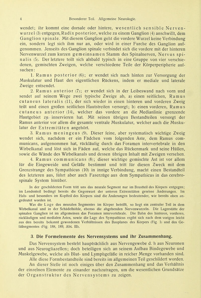 wendet; ihr kommt eine dorsale oder hintere, wesentlich sensible Nerven- wurzel (3) entgegen, Radix posterior, welche zu einem Ganglion (4) anschwillt, dem Ganglion spinale. Mit diesem Ganglion geht die vordere Wurzel keine Verbindung ein, sondern legt sich ihm nur an, oder wird in einer Furche des Ganglion auf- genommen. Jenseits des Ganglion spinale verbindet sich die vordere mit der hinteren Nervenwurzel zum kurzen gemeinsamen Stamm des Spinalnerven, Nervus spi- nalis (5). Der letztere teilt sich alsbald typisch in eine Gruppe von vier verschie- denen, gemischten Zweigen, welche verschiedene Teile der Kbrperperipherie auf- suchen: 1. Ramus posterior (6); er wendet sich nach hinten zur Versorgung der Muskulatur und Haut des eigentlichen Ruckens, indem er mediale und laterale Zweige entsendet. 2. Ramus anterior (7); er wendet sich in der Leibeswand nach vorn und sendet auf seinem Wege zwei typische Zweige ab, a) einen seitlichen, Ramus cutaneus lateralis (11), der sich wieder in einen hinteren und vorderen Zweig teilt und einen grofien seitlichen Hautstreifen versorgt; b) einen vorderen, Ramus cutaneus anterior (14), welcher das vordere an die Medianlinie grenzende Hautgebiet zu innervieren hat. Mit seinen iibrigen Bestandteilen versorgt der Ramus anterior vor allem die gesamte ventrale Muskulatur, welcher auch die Musku- latur der Extremitaten angehort. 3. Ramus meningeus (9). Dieser feine, aber systematisch wichtige Zweig wendet sich, nachdem er ein Fadchen vom folgenden Aste, dem Ramus com- municans, aufgenommen hat, rucklaufig durch das Foramen intervertebrale in den Wirbelkanal und lost sich in Faden auf, welche das Riickenmark und seine Hullen, sowie die Wande des Wirbelkanals und dessen ubrigen Inhalt mit Zweigen versehen. 4. Ramus communicans (8); dieser wichtige gemischte Ast ist vor allem fur die Eingeweide und Gefafie bestimmt und tritt fiir diesen Zweck mit dem Grenzstrange des Sympathicus (10) in innige Verbindung, macht einen Bestandteil des letzteren aus, fuhrt aber auch Faserzuge aus dem Sympathicus in das cerebro- spinal System hinuber. In der geschilderten Form tritt uns das neurale Segment nur im Brustteil des Korpers entgegen; im Lendenteil bedingt bereits die Gegenwart der unteren Extremitaten gewisse Anderungen. Im Hals- und besonders im Kopfteil des Korpers sind die Anderungen bedeutender, wie bereits oben an- gedeutet worden ist. Was die Lage des neuralen Segmentes im Korper betrifft, so liegt ein zentraler Teil in dem Wirbelkanal und in der Schadelhohle, ebenso die abgehenden Nervenwurzeln. Die Lagerstatte der spinalen Ganglien ist im allgemeinen das Foramen intervertebrale. Die Bahn des hinteren, vorderen, rucklaufigen und medialen Astes, sowie die Lage des Sympathicus ergibt sich nach dem vorigen leicht aus den bereits bekannt gewordenen Verhaltnissen des Bauplanes des Korpers (Fig. 1) und des Ge- faBsegmentes (Fig. 188, 189, Abt. III). 3. Die Formelemente des Nervensystems und ihr Zusammenhang. Das Nervensystem besteht hauptsachlich aus Nervengewebe d. h aus Neuronen und aus Neurogliazellen; doch beteiligen sich an seinem Aufbau Bindegewebe und Muskelgewebe, welche als Blut- und Lymphgefafiein reicher Menge vorhanden sind. Alle diese Formbestandteile sind bereits im allgemeinen Teil geschildert worden. An dieser Stelle ist noch einiges iiber den Zusammenhang und das Verhaltnis der einzelnen Elemente zu einander nachzutragen, um die wesentlichen Grundsatze der Organstruktur des Nervensystems zu zeigen.