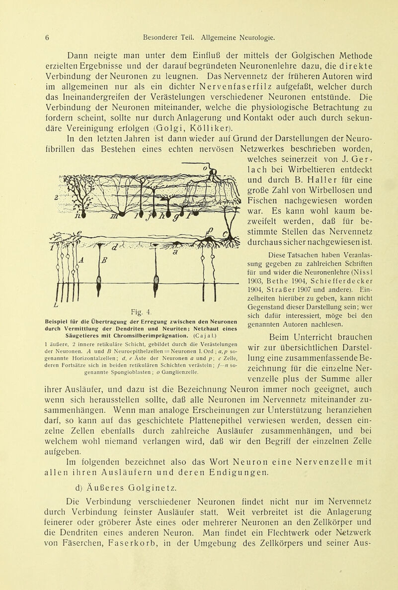 Dann neigte man unter dem EinfluB der mittels der Golgischen Methode erzieltenErgebnisse und der darauf begriindeten Neuronenlehre dazu, die direkte Verbindung derNeuronen zu leugnen. Das Nervennetz der friiheren Autoren wird im allgemeinen nur als eiti dichter Nervenfaserfilz aufgefafit, welcher durch das Ineinandergreifen der Verastelungen verschiedener Neuronen entstiinde. Die Verbindung der Neuronen miteinander, welche die physiologische Betrachtung zu fordern scheint, sollte nur durch Anlagerung und Kontakt oder auch durch sekun- dare Vereinigung erfolgen (Golgi, KdHiker). In den letzten Jahren ist dann wieder auf Grund der Darstellungen derNeuro- fibrillen das Bestehen eines echten nervosen Netzwerkes beschrieben worden, welches seinerzeit von J. Ger- lach bei Wirbeltieren entdeckt und durch B. Haller fur eine grofie Zahl von Wirbellosen und Fischen nachgewiesen worden war. Es kann wohl kaum be- zweifelt werden, dafi fur be- stimmte Stellen das Nervennetz durchaus sicher nachgewiesen ist. Diese Tatsachen haben Veranlas- sung gegeben zu zahlreichen Schriften fiir und wider die Neuronenlehre (Niss 1 1903, Bethe 1904, Schiefferde cker 1904, Strafier 1907 und andere). Ein- zelheiten hieriiber zu geben, kann nicht Gegenstand dieser Darstellung sein; wer sich daftir interessiert, moge bei den genannten Autoren nachlesen. Beim Unterricht brauchen wir zur ubersichtlichen Darstel- lung eine zusammenfassende Be- zeichnung fiir die einzelne Ner- venzelle plus der Summe aller ihrer Auslaufer, und dazu ist die Bezeichnung Neuron immer noch geeignet, auch wenn sich herausstellen sollte, dafi alle Neuronen im Nervennetz miteinander zu- sammenhangen. Wenn man analoge Erscheinungen zur Unterstutzung heranziehen darf, so kann auf das geschichtete Plattenepithel verwiesen werden, dessen ein- zelne Zellen ebenfalls durch zahlreiche Auslaufer zusammenhangen, und bei welchem wohl niemand verlangen wird, dafi wir den Begriff der einzelnen Zelle aufgeben. Im folgenden bezeichnet also das Wort Neuron eine Nervenzelle mit alien ihren Auslaufern und deren Endigungen. d) Aufieres Golginetz. Die Verbindung verschiedener Neuronen findet nicht nur im Nervennetz durch Verbindung feinster Auslaufer statt. Weit verbreitet ist die Anlagerung feinerer oder groberer Aste eines oder mehrerer Neuronen an den Zellkdrper und die Dendriten eines anderen Neuron. Man findet ein Flechtwerk oder Netzwerk von Faserchen, Faserkorb, in der Umgebung des Zellkdrpers und seiner Aus- Fig. 4. Beispiel fiir die Ubertragung der Erregung zwischen den Neuronen durch Vermittlung der Dendriten und Neuriten; Netzhaut eines Saugetieres mit Chromsilberimpragnation. (Cajal.) 1 aufiere, 2 innere retikulare Schicht, gebildet durch die Verastelungen der Neuronen. A und B Neuroepithelzellen = Neuronen I. Ord ; so- genannte Horizontalzellen; d, e Aste der Neuronen a und p ; c Zelle, deren Fortsatze sich in beiden retikularen Schichten verasteln; f—n so- genannte Spongioblasten ; o Ganglienzelle.