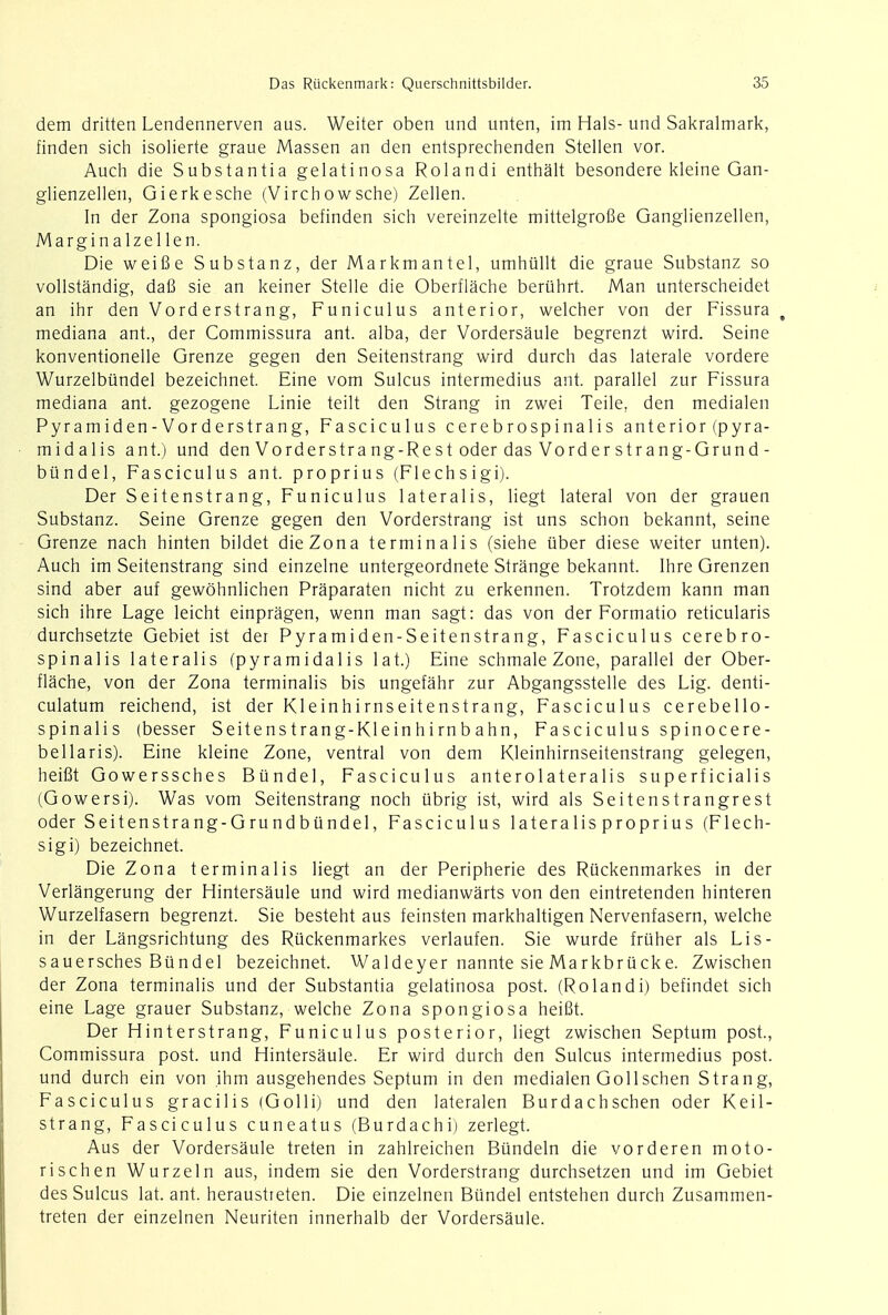 dem dritten Lendennerven aus. Weiter oben und unten, im Hals- und Sakralmark, finden sich isolierte graue Massen an den entsprecbenden Stellen vor. Auch die Substantia gelatinosa Rolandi enthalt besondere kleine Gan- glienzellen, Gierkesche (Virchowsche) Zellen. In der Zona spongiosa befinden sich vereinzelte mittelgrofie Ganglienzellen, Margin a lzellen. Die weifie Substanz, der Markmantel, umhiillt die graue Substanz so vollstandig, dafi sie an keiner Stelle die Oberflache beruhrt. Man unterscheidet an ihr den Vorderstrang, Funiculus anterior, welcher von der Fissura t mediana ant., der Commissura ant. alba, der Vordersaule begrenzt wird. Seine konventionelle Grenze gegen den Seitenstrang wird durch das laterale vordere Wurzelbundel bezeichnet. Eine vom Sulcus intermedius ant. parallel zur Fissura mediana ant. gezogene Linie teilt den Strang in zwei Teile, den medialen Pyramiden-Vorderstrang, Fasciculus cerebrospinalis anterior (pyra- midalis ant.) und den Vorderstrang-Rest oder das Vorder strang-Grund - btindel, Fasciculus ant. proprius (Flechsigi). Der Seitenstrang, Funiculus lateralis, liegt lateral von der grauen Substanz. Seine Grenze gegen den Vorderstrang ist uns schon bekannt, seine Grenze nach hinten bildet die Zona terminalis (siehe uber diese weiter unten). Auch im Seitenstrang sind einzelne untergeordnete Strange bekannt. Ihre Grenzen sind aber auf gewohnlichen Praparaten nicht zu erkennen. Trotzdem kann man sich ihre Lage leicht einpragen, wenn man sagt: das von der Formatio reticularis durchsetzte Gebiet ist der Pyramiden-Seitenstrang, Fasciculus cerebro- spinalis lateralis (pyramidalis lat.) Eine schmale Zone, parallel der Ober- flache, von der Zona terminalis bis ungefahr zur Abgangsstelle des Lig. denti- culatum reichend, ist der Kleinhirnseitenstrang, Fasciculus cerebello- spinalis (besser Seitens trang-Kleinhirnb ahn, Fasciculus spinocere- bellaris). Eine kleine Zone, ventral von dem Kleinhirnseitenstrang gelegen, heifit Gowerssches Btindel, Fasciculus anterolateralis superficialis (Gowersi). Was vom Seitenstrang noch ubrig ist, wird als Seitenstrangrest oder Seitenstrang-Grundbundel, Fasciculus lateralis proprius (Flech- sigi) bezeichnet. Die Zona terminalis liegt an der Peripherie des Ruckenmarkes in der Verlangerung der Hintersaule und wird medianwarts von den eintretenden hinteren Wurzelfasern begrenzt. Sie besteht aus feinsten markhaltigen Nervenfasern, welche in der Langsrichtung des Ruckenmarkes verlaufen. Sie wurde fruher als Lis- sauersches Bundel bezeichnet. Waldeyer nannte sie Markbrucke. Zwischen der Zona terminalis und der Substantia gelatinosa post. (Rolandi) befindet sich eine Lage grauer Substanz, welche Zona spongiosa heifit. Der Hinterstrang, Funiculus posterior, liegt zwischen Septum post., Commissura post, und Hintersaule. Er wird durch den Sulcus intermedius post, und durch ein von ihm ausgehendes Septum in den medialen Gollschen Strang, Fasciculus gracilis (Golli) und den lateralen Burdachschen oder Keil- strang, Fasciculus cuneatus (Burdachi) zerlegt. Aus der Vordersaule treten in zahlreichen Bundeln die vorderen moto- rischen Wurzeln aus, indem sie den Vorderstrang durchsetzen und im Gebiet des Sulcus lat. ant. heraustieten. Die einzelnen Bundel entstehen durch Zusammen- treten der einzelnen Neuriten innerhalb der Vordersaule.