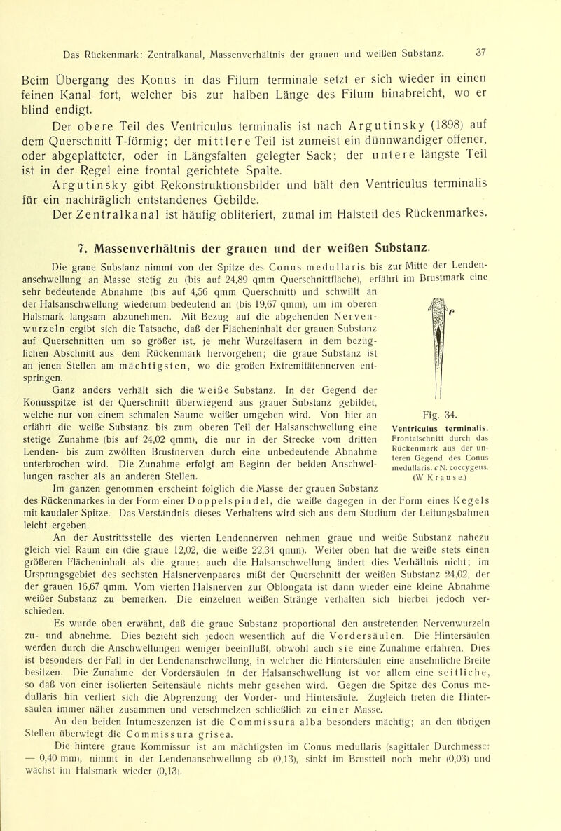 Beim Ubergang des Konus in das Filum terminale setzt er sich wieder in einen feinen Kanal fort, welcher bis zur halben Lange des Filum hinabreicht, wo er blind endigt. Der obere Teil des Ventriculus terminalis ist nach Argutinsky (1898) auf dem Querschnitt T-formig; der mittlere Teil ist zumeist ein dunnwandiger offener, oder abgeplatteter, oder in Langsfalten gelegter Sack; der untere langste Teil ist in der Regel eine frontal gerichtete Spalte. Argutinsky gibt Rekonstruktionsbilder und halt den Ventriculus terminalis fur ein nachtraglich entstandenes Gebilde. Der Zentralkanal ist haufig obliteriert, zumal im Halsteil des Ruckenmarkes. 7. Massenverhaltnis der grauen und der weifien Substanz. Die graue Substanz nimmt von der Spitze des Conus medullar is bis zur Mitte der Lenden- anschwellung an Masse stetig zu (bis auf 24,89 qmm Querschnittflache), erfahrt im Brustmark eine sehr bedeutende Abnahme (bis auf 4,56 qmm Querschnitt) und schwillt an der Halsanschwellung wiederum bedeutend an (bis 19,67 qmm), um im oberen Halsmark langsam abzunehmen. Mit Bezug auf die abgehenden Nerven- wurzeln ergibt sich die Tatsache, dafi der Flacheninhalt der grauen Substanz auf Querschnitten um so grofier ist, je mehr Wurzelfasern in dem beziig- lichen Abschnitt aus dem Riickenmark hervorgehen; die graue Substanz ist an jenen Stellen am machtigsten, wo die grofien Extremitatennerven ent- springen. Ganz anders verhalt sich die weifie Substanz. In der Qegend der Konusspitze ist der Querschnitt tiberwiegend aus grauer Substanz gebildet, welche nur von einem schmalen Saume weifier umgeben wird. Von hier an Fig. 34. erfahrt die weifie Substanz bis zum oberen Teil der Halsanschwellung eine Ventriculus terminalis. stetige Zunahme (bis auf 24,02 qmm), die nur in der Strecke vom dritten Frontaischnitt durch das Lenden- bis zum zwolften Brustnerven durch eine unbedeutende Abnahme Ruckenmark aus der un- luu i * i i ti - j a teren Gegend des Conus unterbrochen wird. Die Zunahme erfolgt am Beginn der beiden Anschwel- meduiiaris. cN coccygeus. lungen rascher als an anderen Stellen. (w Krause.) Im ganzen genommen erscheint folglich die Masse der grauen Substanz des Ruckenmarkes in der Form einer Doppelspindel, die weifie dagegen in der Form eines Kegels mit kaudaler Spitze. Das Verstandnis dieses Verhaltens wird sich aus dem Studium der Leitungsbahnen leicht ergeben. An der Austrittsstelle des vierten Lendennerven nehmen graue und weifie Substanz nahezu gleich viel Raum ein (die graue 12,02, die weifie 22,34 qmm). Weiter oben hat die weifie stets einen grofieren Flacheninhalt als die graue; auch die Halsanschwellung andert dies Verhaltnis nicht; im Ursprungsgebiet des sechsten Halsnervenpaares mifit der Querschnitt der weifien Substanz 24,02, der der grauen 16,67 qmm. Vom vierten Halsnerven zur Oblongata ist dann wieder eine kleine Abnahme weifier Substanz zu bemerken. Die einzelnen weifien Strange verhalten sich hierbei jedoch ver- schieden. Es wurde oben erwa'hnt, dafi die graue Substanz proportional den austretenden Nervenwurzeln zu- und abnehme. Dies bezieht sich jedoch wesentlich auf die Vordersaulen. Die Hintersaulen werden durch die Anschwellungen weniger beeinflufit, obwohl auch sie eine Zunahme erfahren. Dies ist besonders der Fall in der Lendenanschwellung, in welcher die Hintersaulen eine ansehnliche Breite besitzen. Die Zunahme der Vordersaulen in der Halsanschwellung ist vor allem eine seitliche. so dafi von einer isolierten Seitensaule nichts mehr gesehen wird. Gegen die Spitze des Conus me- duiiaris hin verliert sich die Abgrenzung der Vorder- und Hintersaule. Zugleich treten die Hinter- saulen immer naher zusammen und verschmelzen schliefilich zu einer Masse. An den beiden Intumeszenzen ist die Commissura alba besonders machtig; an den iibrigen Stellen uberwiegt die Commissura grisea. Die hintere graue Kommissur ist am machtigsten im Conus meduiiaris (sagittaler Durchmessc; — 0,40 mmi, nimmt in der Lendenanschwellung ab (0.13), sinkt im Brustteil noch mehr (0,03) und wachst im Halsmark wieder (0,13).