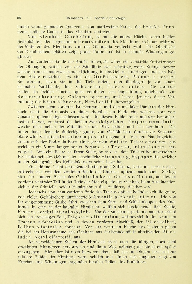 hinten scharf gerandeter Querwulst von markweifier Farbe, die Brticke, Pons, deren seitliche Enden in das Kleinhirn eintreten. Vom Kleinhirn, Cerebellum, ist nur die untere Flache seiner beiden Seitenhalften, der sogenannten Hemispharen des Kleinhirns, sichtbar, wahrend der Mittelteil des Kleinhirns von der Oblongata verdeekt wird. Die Oberflache der Kleinhirnhemispharen zeigt graue Farbe und ist in schmale Windungen ge- gliedert. Am vorderen Rande der Briicke treten, als waren sie verstarkte Fortsetzungen der Oblongata, seitlich von der Mittellinie zwei machtige, weifie Strange hervor, welche in auseinanderweichender Richtung in das Gehirn eindringen und sich bald dem Blicke entziehen. Es sind die Grofihirnstiele, Pedunculi cerebri. Sie werden, bevor sie in die Tiefe treten, quer uberlagert je von einem schmalen Markbande, dem Sehstreifen, Tractus opticus. Die vorderen Enden der beiden Tractus optici verbinden sich bogenformig miteinander zur Sehnervenkreuzung, Chiasma opticum, und lassen jenseits dieser Ver- bindung die beiden Sehnerven, Nervi optici, hervorgehen. Zwischen dem vorderen Briickenrande und den medialen Randern der Hirn- stiele sinkt die Hirnbasis zu einem rhombischen Felde ein, welches vom vom Chiasma opticum abgeschlossen wird. In diesem Felde treten mehrere Besonder- heiten hervor, zunachst die beiden Markkiigelchen, Corpora mamillaria, welche dicht neben der Mittellinie ihren Platz haben und sich beriihren. Die hinter ihnen liegende dreieckige graue, von Gefafilochern durchsetzte Substanz- platte wird Substantia perforata posterior genannt. Vor den Markkiigelchen erhebt sich der Boden in Form eines grauen Wulstes, Tuber cinereum, aus welchem ein 5 mm langer hohler Fortsatz, der Trichter, Infundibulum, her- vorgeht. Wie eine Beere an ihrem Stiele, so sitzt an dem Trichter bei unversehrter Beschaffenheit des Gehirns der ansehnliche Hirnanhang, Hypophysis, welcher in der Sattelgrube des Keilbeinkorpers seine Lage hat. Eine dunne, leicht einreifiende Platte grauer Substanz, Lamina terminalis, erstreckt sich von dem vorderen Rande des Chiasma opticum nach oben. Sie legt sich der unteren Flache des Geh irnbalkens, Corpus callosum, an, dessen vorderer ventraler Teil in der Tiefe der Mantelspalte des Gehirns, beim Auseinander- ziehen der Stirnteile beider Hemispharen des Endhirns, sichtbar wird. Jederseits von dem vorderen Ende des Tractus opticus befindet sich die graue, von vielen GefaBlochern durchsetzte Substantia perforata anterior. Die von ihr eingenommene Grube fiihrt zwischen dem Stirn- und Schlafenlappen des End- hirnes in eine an der lateralen Hirnflache weithin sich ausdehnende tiefe Spalte, Fissura cerebri lateralis (Sylvii). Vor der Substantia perforata anterior erhebt sich ein dreieckiges Feld, Trigonum olfactorium, welches sich in den schmalen Tractus olfactorius und in dessen vorderen Abschlufi, den Riechkolben, Bulb us olfactorius, fortsetzt. Von der ventralen Flache des letzteren gehen die bei der Herausnahme des Gehirnes aus der Schadelhohle abreiBenden Riech- faden, Nervi olfactorii, aus. An verschiedenen Stellen der Hirnbasis sieht man die ubrigen, noch nicht erwahnten Hirnnerven hervortreten und ihren Weg nehmen; auf sie ist erst spater einzugehen. Hier aber ist noch hervorzuheben, dafi das im Obigen beschriebene mittlere Gebiet der Hirnbasis vorn, seitlich und hinten sich umgeben zeigt von Furchen und Windungen tragenden basalen Teilen des Endhirnes.