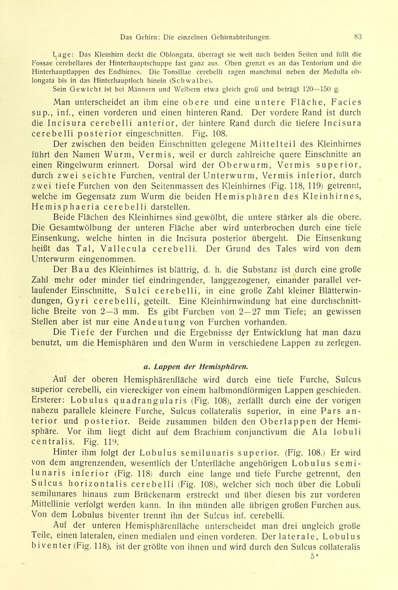 Lage: Das Kleinhirn deckt die Oblongata, iiberragt sie weit nach beiden Seiten und ftilit die Fossae cerebellares der Hinterhauptschuppe fast ganz aus. Oben grenzt es an das Tentorium und die Hinterhauptlappen des Endhirnes. Die Tonsillae cerebelli ragen manchmal neben der Medulla ob- longata bis in das Hinterhauptloch hinein (Schwa 1 be). Sein Gewicht ist bei Mannern und Weibern etwa gleich grofi und betragt 120—150 g. Man unterscheidet an ihm eine obere und eine untere Flache, Facies sup., inf., einen vorderen und einen hinteren Rand. Der vordere Rand ist durch die Incisura cerebelli anterior, der hintere Rand durch die tiefere Incisura cerebelli posterior eingeschnitten. Fig. 108. Der zwischen den beiden Einschnitten gelegene Mittelteil des Kleinhirnes fiihrt den Namen Wurm, Vermis, weil er durch zahlreiche quere Einschnitte an einen Ringelwurm erinnert. Dorsal wird der Oberwurm, Vermis superior, durch zwei seichte Furchen, ventral der Unterwurm, Vermis inferior, durch zvvei tiefe Furchen von den Seitenmassen des Kleinhirnes (Fig. 118, 119) getrennt, welche im Gegensatz zum Wurm die beiden Hemispharen des Kleinhirnes, Hemisphaeria cerebelli darstellen. Beide Flachen des Kleinhirnes sind gewblbt, die untere starker als die obere. Die Gesamtwolbung der unteren Flache aber wird unterbrochen durch eine tiefe Einsenkung, welche hinten in die Incisura posterior iibergeht. Die Einsenkung heifit das Tal, Vallecula cerebelli. Der Grund des Tales wird von dem Unterwurm eingenommen. Der Bau des Kleinhirnes ist blattrig, d. h. die Substanz ist durch eine grofie Zahl mehr oder minder tief eindringender, langgezogener, einander parallel ver- laufender Einschnitte, Sulci cerebelli, in eine grofie Zahl kleiner Blatterwin- dungen, Gyri cerebelli, geteilt. Eine Kleinhirnwindung hat eine durchschnitt- liche Breite von 2—3 mm. Es gibt Furchen von 2—27 mm Tiefe; an gewissen Stellen aber ist nur eine Andeutung von Furchen vorhanden. Die Tiefe der Furchen und die Ergebnisse der Entwicklung hat man dazu benutzt, um die Hemispharen und den Wurm in verschiedene Lappen zu zerlegen. a. Lappen der Hemispharen. Auf der oberen Hemispharenflache wird durch eine tiefe Furche, Sulcus superior cerebelli, ein viereckiger von einem halbmondformigen Lappen geschieden. Ersterer: Lobulus quadrangula ris (Fig. 108), zerfallt durch eine der vorigen nahezu parallele kleinere Furche, Sulcus collateralis superior, in eine Pars an- terior und posterior. Beide zusammen bilden den Oberlappen der Hemi- sphere. Vor ihm liegt dicht auf dem Brachium conjunctivum die Ala lobuli centralis. Fig. 119. Hinter ihm folgt der Lobulus semilunaris superior. (Fig. 108.) Er wird von dem angrenzenden, wesentlich der Unterflache angehbrigen Lobulus semi- lunaris inferior (Fig. 118) durch eine lange und tiefe Furche getrennt, den Sulcus horizontalis cerebelli (Fig. 108), welcher sich noch iiber die Lobuli semilunares hinaus zum Briickenarm erstreckt und iiber diesen bis zur vorderen Mittellinie verfolgt werden kann. In ihn mtinden alle ubrigen grofien Furchen aus. Von dem Lobulus biventer trennt ihn der Sulcus inf. cerebelli. Auf der unteren Hemispharenflache unterscheidet man drei ungleich grofie Teile, einen lateralen, einen medialen und einen vorderen. Derlaterale, Lobulus biventer (Fig. 118), ist der grbfite von ihnen und wird durch den Sulcus collateralis 5