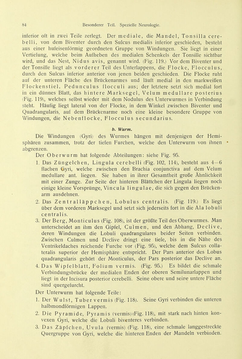 inferior oft in zwei Teile zerlegt. Der mediale, die Mandel, Tonsilla cere- be Hi, von dem Biventer durch den Sulcus medialis inferior geschieden, besteht aus einer hufeisenfdrmig geordneten Gruppe von Windungen. Sie liegt in einer Vertiefung, welche beim Aufheben des medialen Schenkels der Tonsille sichtbar wird, und das Nest, Nidus avis, genannt wird. (Fig. 119.) Vor dem Biventer und der Tonsille liegt als vorderer Teil des Unterlappens, die Flocke, Flocculus, durch den Sulcus inferior anterior von jenen beiden geschieden. Die Flocke ruht auf der unteren Flache des Bruckenarmes und lauft medial in den markweifien Flockenstiel, Pedunculus flocculi aus; der letztere setzt sich medial fort in ein diinnes Blatt, das hintere Marksegel, Velum medullare posterius (Fig. 119), welches selbst wieder mit dem Nodulus des Unterwurmes in Verbindung steht. Haufig liegt lateral von der Flocke, in dem Winkel zwischen Biventer und Quadrangularis, auf dem Bruckenarme noch eine kleine besondere Gruppe von Windungen, die Nebenflocke, Flocculus secundarius. h. Warm. Die Windungen (Gyri) des Wurmes hangen mit denjenigen der Hemi- spharen zusammen, trotz der tiefen Furchen, welche den Unterwurm von ihnen abgrenzen. Der Oberwurm hat folgende Abteilungen: siehe Fig. 95. 1. Das Zungelchen, Lingula cerebelli (Fig. 102, 114), besteht aus 4—6 flachen Gyri, welche zwischen den Brachia conjunctiva auf dem Velum medullare ant. liegen. Sie haben in ihrer Gesamtheit grofie Ahnlichkeit mit einer Zunge. Zur Seite der hinteren Blattchen der Lingula liegen noch einige kleine Vorsprunge, Vincula lingulae, die sich gegen den Brucken- arm ausdehnen. 2. Das Ze n t r a 11 a p p c h e n, Lobulus centralis. (Fig. 119.) Es liegt tiber dem vorderen Marksegel und setzt sich jederseits fort in die Ala lobuli centrali s. 3. Der Berg, Monticulus (Fig. 108), ist der grofite Teil des Oberwurmes. Man unterscheidet an ihm den Gipfel, Culm en, und den Abhang, Declive, deren Windungen die Lobuli quadrangulares beider Seiten verbinden. Zwischen Culmen und Declive dringt eine tiefe, bis in die Nahe des Ventrikeldaches reichende Furche vor (Fig. 95), welche dem Sulcus colla- teralis superior der Hemisphare entspricht. Der Pars anterior des Lobus quadrangularis gehbrt der Monticulus, der Pars posterior das Declive an. 4. Das Wipfelblatt, Folium vermis. (Fig. 95.) Es bildet die schmale Verbindungsbrucke der medialen Enden der oberen Semilunarlappen und liegt in der Incisura posterior cerebelli. Seine obere und seine untere Flache sind quergefurcht. Der Unterwurm hat folgende Teile: 1. Der Wulst, Tuber vermis (Fig. 118). Seine Gyri verbinden die unteren halbmondformigen Lappen. 2. Die Pyramide, Pyramis (vermis)(Fig. 118), mit stark nach hinten kon- vexen Gyri, welche die Lobuli biventeres verbinden. 3. Das Zapfchen, Uvula (vermis) (Fig. 118), eine schmale langgestreckte Quergruppe von Gyri, welche die hinteren Enden der Mandeln verbinden.