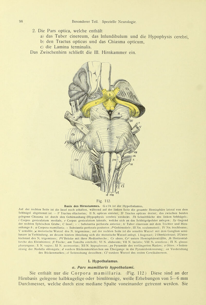 2. Die Pars optica, welche enthalt a) das Tuber cinereum, das Infundibulum und die Hypophysis cerebri, b) den Tractus opticus und das Chiasma opticum, c) die Lamina terminalis. Das Zwischenhirn schliefit die III. Hirnkammer ein. Basis des Hirnstammes. Gelb ist der Hypothalamus. Auf der rechten Seite ist die Insel noch erhalten, wahrend auf der linken Seite die gesamte Hemisphare lateral von dem Sehhiigel abgetrennt ist. — I' Tractus olfactorius; II N. opticus sinister; IP Tractus opticus dexter; das zwischen beiden gelegene Chiasma ist durch (den Gehirnanhang (Hypophysis cerebri) verdeckt. Th Schnittflache des linken Sehhiigels; i Corpus geniculatum mediale, e Corpus geniculatum laterale, welche sich an das Sehhiigelpolster anlegen; Sy Gegend der rechten Sylvischen Grube; C Insel; XX Substantia perforata anterior; tc Tuber cinereum mit dem Trichter und Hirn- anhange h ; a Corpora mamillaria; x Substantia perforata posterior; PGehirnstiele; III Nn. oculomotorii; IV Nn. trochleares ; V sensible, x molorische Wurzel des N. trigeminus; auf der rechten Seite ist die sensible Wurzel mit dem Ganglion semi- lunar in Verbindung, an dessen hintere Abteilung sich die motorische Wurzel anlegt. lAugenast; 2 Oberkieferast; 3Unter- kieferast des N. trigeminus; PKBriicke mit ihrer Medianfurche ; Ce obere, Ce' untere Hemispharenhalfte, fh Horizontal- furche des Kleinhirnes!; // Flocke; am Tonsilla cerebelli; VI N. abducens; VII N. facialis; VIII N. acusticus ; IX N. glosso- pharyngeus; X N. vagus; XI N. accessorius; XII N. hypoglossus; pa Pyramide des verlangerten Markes; o Olive; rSeiten- strang der Medulla oblongata; d vordere Rtickenmarkfurchen am Ubergange in die Pyramidenkreuzung; ca Vorderstrang des Riickenmarkes; cl Seitenstrang desselben; CI vordere Wurzel des ersten Cervikalnerven. I. Hypothalamus. a. Pars mamillaris hypothalami. Sie enthalt nur die Corpora mamillaria. (Fig. 112) Diese sind an der Hirnbasis gelegene halbkugelige oder birnformige, weifie Erhebungen von 5—6 mm Durchmesser, welche durch eine mediane Spalte voneinander getrennt werden. Sie