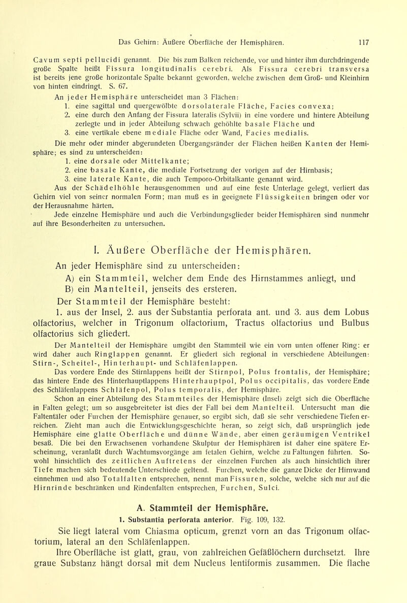 Cavum septi pellucidi genannt. Die bis zum Balken reichende, vor und hinter ihm durchdringende grofie Spalte heifit Fissura longitudinalis cerebri. Als Fissura cerebri transversa ist bereits jene groBe horizontale Spalte bekannt geworden, welche zwischen dem Grofi- und Kleinhirn von hinten eindringt. S. 67. An jeder Hemisphare unterscheidet man 3 Flachen: 1. eine sagittal und quergewblbte dorsolaterale Flache, Facies convexa; 2. eine durch den Anfang der Fissura lateralis (Sylvii) in eine vordere und hintere Abteilung zerlegte und in jeder Abteilung schwach gehohlte basale Flache und 3. eine vertikale ebene mediale Flache oder Wand, Facies medialis. Die mehr oder minder abgerundeten Obergangsrander der Flachen heifien Kanten der Hemi- sphare; es sind zu unterscheiden: 1. eine dorsale oder Mittelkante; 2. eine basale Kante, die mediale Fortsetzung der vorigen auf der Hirnbasis; 3. eine laterale Kante, die auch Temporo-Orbitalkante genannt wird. Aus der Schadelhohle herausgenommen und auf eine feste Unterlage gelegt, verliert das Gehirn viel von seiner normalen Form; man mufi es in geeignete Fl tissigkeiten bringen oder vor der Herausnahme harten. Jede einzelne Hemisphare und auch die Verbindungsglieder beider Hemispharen sind nunmehr auf ihre Besonderheiten zu untersuchen. I. Aufiere Oberflache der Hemispharen. An jeder Hemisphare sind zu unterscheiden: A) ein Stammteil, welcher dem Ende des Hirnstammes anliegt, und B) ein Mantelteil, jenseits des ersteren. Der Stammteil der Hemisphare besteht: 1. aus der Insel, 2. aus der Substantia perforata ant. und 3. aus dem Lobus olfactorius, welcher in Trigonum olfactorium, Tractus olfactorius und Bulbus olfactorius sich gliedert. Der Mantelteil der Hemisphare umgibt den Stammteil wie ein vorn unten offener Ring: er wird daher auch Ringlappen genannt. Er gliedert sich regional in verschiedene Abteilungen: Stirn-, Scheitel-, Hinterhaupt- und Schlafenlappen. Das vordere Ende des Stirnlappens heifit der Stirnpol, Polus frontalis, der Hemisphare; das hintere Ende des Hinterhauptlappens Hinterhauptpol, Polus occipitalis, das vordere Ende des Schlafenlappens Schlafenpol, Polus temporalis, der Hemisphare. Schon an einer Abteilung des Stammteiles der Hemisphare (Insel) zeigt sich die Oberflache in Falten gelegt; um so ausgebreiteter ist dies der Fall bei dem Mantelteil. Untersucht man die Faltentaler oder Fuvchen der Hemisphare genauer, so ergibt sich, daB sie sehr verschiedene Tiefen er- reichen. Zieht man auch die Entwicklungsgeschichte heran, so zeigt sich, daB urspriinglich jede Hemisphare eine glatte Oberflache und diinne Wande, aber einen geraumigen Ventrikel besaB. Die bei den Erwachsenen vorhandene Skulptur der Hemispharen ist daher eine spatere Er- scheinung, veranlafit durch Wachtumsvorgange am fetalen Gehirn, welche zu Faltungen fiihrten. So- wohl hinsichtlich des zeitlichen Auftretens der einzelnen Furchen als auch hinsichtlich ihrer Tiefe machen sich bedeutende Unterschiede geltend. Furchen, welche die ganze Dicke der Hirnwand einnehmen und also Totalfalten entsprechen, nennt manFissuren, solche, welche sich nur auf die Hirnrinde beschranken und Rindenfalten entsprechen, Furchen, Sulci. A. Stammteil der Hemisphare. 1. Substantia perforata anterior. Fig. 109, 132. Sie liegt lateral vom Chiasma opticum, grenzt vorn an das Trigonum olfac- torium, lateral an den Schlafenlappen. Ihre Oberflache ist glatt, grau, von zahlreichen Gefafilochern durchsetzt. Ihre graue Substanz hangt dorsal mit dem Nucleus lentiformis zusammen. Die flache