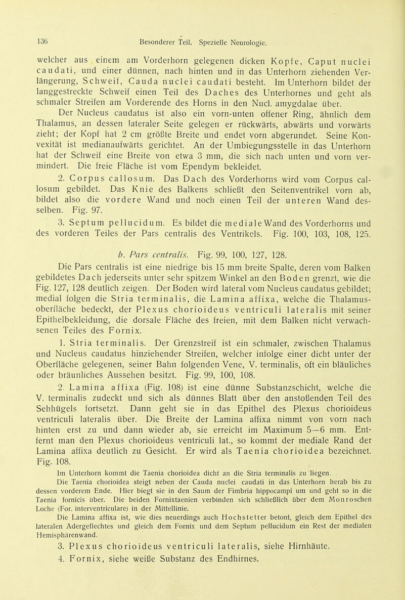 welcher aus einem am Vorderhorn gelegenen dicken Kopfe, Caput nuclei caudati, und einer dunnen, nach hinten und in das Unterhorn ziehenden Ver- langerung, Schweif, Cauda nuclei caudati besteht. Im Unterhorn bildet der langgestreckte Schweif einen Teil des Daches des Unterhornes und geht als schmaler Streifen am Vorderende des Horns in den Nucl. amygdalae iiber. Der Nucleus caudatus ist also ein vorn-unten offener Ring, ahnlich dem Thalamus, an dessen lateraler Seite gelegen er ruckwarts, abwarts und vorwarts zieht; der Kopf hat 2 cm grofite Breite und endet vorn abgerundet. Seine Kon- vexitat ist medianaufwarts gerichtet. An der Umbiegungsstelle in das Unterhorn hat der Schweif eine Breite von etwa 3 mm, die sich nach unten und vorn ver- mindert. Die freie Flache ist vorn Ependym bekleidet. 2. Corpus callosum. Das Dach des Vorderhorns wird vorn Corpus cal- losum gebildet. Das Knie des Balkens schlieBt den Seitenventrikel vorn ab, bildet also die vordere Wand und noch einen Teil der unteren Wand des- selben. Fig. 97. 3. Septum pellucidum. Es bildet die mediale Wand des Vorderhorns und des vorderen Teiles der Pars centralis des Ventrikels. Fig. 100, 103, 108, 125. b. Pars centralis. Fig. 99, 100, 127, 128. Die Pars centralis ist eine niedrige bis 15 mm breite Spalte, deren vorn Balken gebildetes Dach jederseits unter sehr spitzem Winkel an den Boden grenzt, wie die Fig. 127, 128 deutlich zeigen. Der Boden wird lateral vorn Nucleus caudatus gebildet; medial folgen die Stria terminalis, die Lamina affixa, welche die Thalamus- oberflache bedeckt, der Plexus chorioideus ventriculi lateralis mit seiner Epithelbekleidung, die dorsale Flache des freien, mit dem Balken nicht verwach- senen Teiles des Fornix. 1. Stria terminalis. Der Grenzstreif ist ein schmaler, zwischen Thalamus und Nucleus caudatus hinziehender Streifen, welcher infolge einer dicht unter der Oberflache gelegenen, seiner Bahn folgenden Vene, V. terminalis, oft ein blauliches oder braunliches Aussehen besitzt. Fig. 99, 100, 108. 2. Lamina affixa (Fig. 108) ist eine diinne Substanzschicht, welche die V. terminalis zudeckt und sich als dunnes Blatt uber den anstofienden Teil des Sehhugels fortsetzt. Dann geht sie in das Epithel des Plexus chorioideus ventriculi lateralis iiber. Die Breite der Lamina affixa nimmt von vorn nach hinten erst zu und dann wieder ab, sie erreicht im Maximum 5—6 mm. Ent- fernt man den Plexus chorioideus ventriculi lat., so kommt der mediale Rand der Lamina affixa deutlich zu Gesicht. Er wird als Taenia chorioidea bezeichnet. Fig. 108. Im Unterhorn kommt die Taenia chorioidea dicht an die Stria terminalis zu liegen. Die Taenia chorioidea steigt neben der Cauda nuclei caudati in das Unterhorn herab bis zu dessen vorderem Ende. Hier biegt sie in den Saum der Fimbria hippocampi um und geht so in die Taenia fornicis tiber. Die beiden Fornixtaenien verbinden sich schliefilich iiber dem Monroschen Loche (For. interventriculare) in der Mittellinie. Die Lamina affixa ist, wie dies neuerdings auch Hochstetter betont, gleich dem Epithel des lateralen Adergeflechtes und gleich dem Fornix und dem Septum pellucidum ein Rest der medialen Hemispharenwand. 3. Plexus chorioideus ventriculi lateralis, siehe Hirnhaute. 4. Fornix, siehe weifie Substanz des Endhirnes.