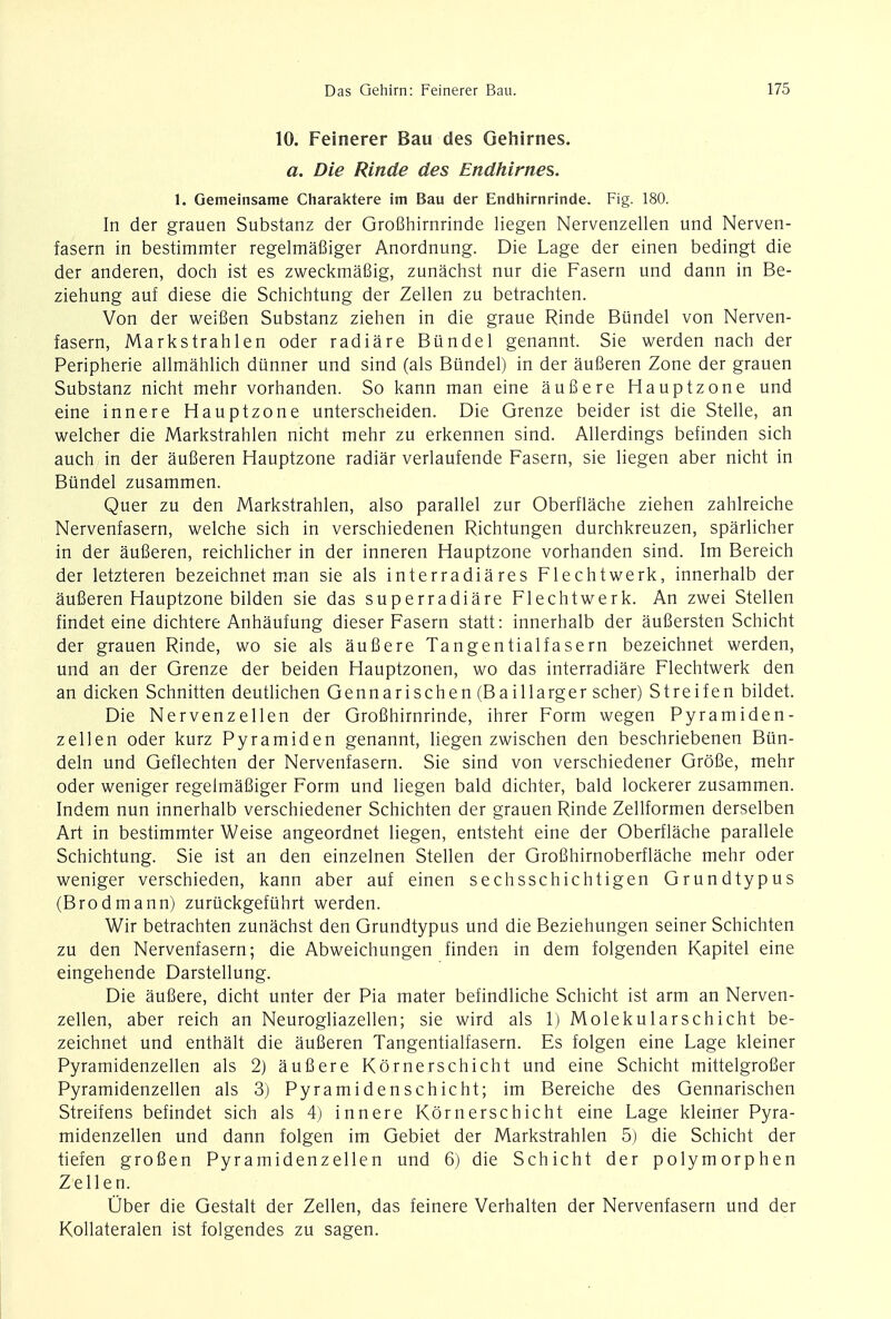 10. Feinerer Bau des Gehirnes. a. Die Rinde des Endhirnes. 1. Gemeinsame Charaktere im Bau der Endhirnrinde. Fig. 180. In der grauen Substanz der GroBhirnrinde liegen Nervenzellen und Nerven- fasern in bestimmter regelmafiiger Anordnung. Die Lage der einen bedingt die der anderen, doch ist es zweckmafiig, zunachst nur die Fasern und dann in Be- ziehung auf diese die Schichtung der Zellen zu betrachten. Von der weiBen Substanz ziehen in die graue Rinde Biindel von Nerven- fasern, Markstrahlen oder radiare Biindel genannt. Sie werden nach der Peripherie allmahlich dtinner und sind (als Biindel) in der aufieren Zone der grauen Substanz nicht mehr vorhanden. So kann man eine aufiere Hauptzone und eine innere Hauptzone unterscheiden. Die Grenze beider ist die Stelle, an welcher die Markstrahlen nicht mehr zu erkennen sind. Allerdings befinden sich auch in der aufieren Hauptzone radiar verlaufende Fasern, sie liegen aber nicht in Biindel zusammen. Quer zu den Markstrahlen, also parallel zur Oberflache ziehen zahlreiche Nervenfasern, welche sich in verschiedenen Richtungen durchkreuzen, sparlicher in der aufieren, reichlicher in der inneren Hauptzone vorhanden sind. Im Bereich der letzteren bezeichnet man sie als interradiares Flechtwerk, innerhalb der aufieren Hauptzone bilden sie das superradiare Flechtwerk. An zwei Stellen findet eine dichtere Anhaufung dieser Fasern statt: innerhalb der aufiersten Schicht der grauen Rinde, wo sie als aufiere Tangentialfasern bezeichnet werden, und an der Grenze der beiden Hauptzonen, wo das interradiare Flechtwerk den an dicken Schnitten deutlichen Gennarischen (Baillarger scher) Streifen bildet. Die Nervenzellen der GroBhirnrinde, ihrer Form wegen Pyramiden- zellen oder kurz Pyramiden genannt, liegen zwischen den beschriebenen Btin- deln und Geflechten der Nervenfasern. Sie sind von verschiedener Grofie, mehr oder weniger regelmafiiger Form und liegen bald dichter, bald lockerer zusammen. Indem nun innerhalb verschiedener Schichten der grauen Rinde Zellformen derselben Art in bestimmter Weise angeordnet liegen, entsteht eine der Oberflache parallele Schichtung. Sie ist an den einzelnen Stellen der Grofihirnoberflache mehr oder weniger verschieden, kann aber auf einen sechsschichtigen Grundtypus (Brodmann) zuriickgefiihrt werden. Wir betrachten zunachst den Grundtypus und die Beziehungen seiner Schichten zu den Nervenfasern; die Abweichungen finden in dem folgenden Kapitel eine eingehende Darstellung. Die aufiere, dicht unter der Pia mater befindliche Schicht ist arm an Nerven- zellen, aber reich an Neurogliazellen; sie wird als 1) Molekularschicht be- zeichnet und enthalt die aufieren Tangentialfasern. Es folgen eine Lage kleiner Pyramidenzellen als 2) aufiere Kornerschicht und eine Schicht mittelgrofier Pyramidenzellen als 3) Pyramidenschicht; im Bereiche des Gennarischen Streifens befindet sich als 4) innere Kornerschicht eine Lage kleiner Pyra- midenzellen und dann folgen im Gebiet der Markstrahlen 5) die Schicht der tiefen groBen Pyramidenzellen und 6) die Schicht der polymorphen Zellen. Uber die Gestalt der Zellen, das feinere Verhalten der Nervenfasern und der Kollateralen ist folgendes zu sagen.