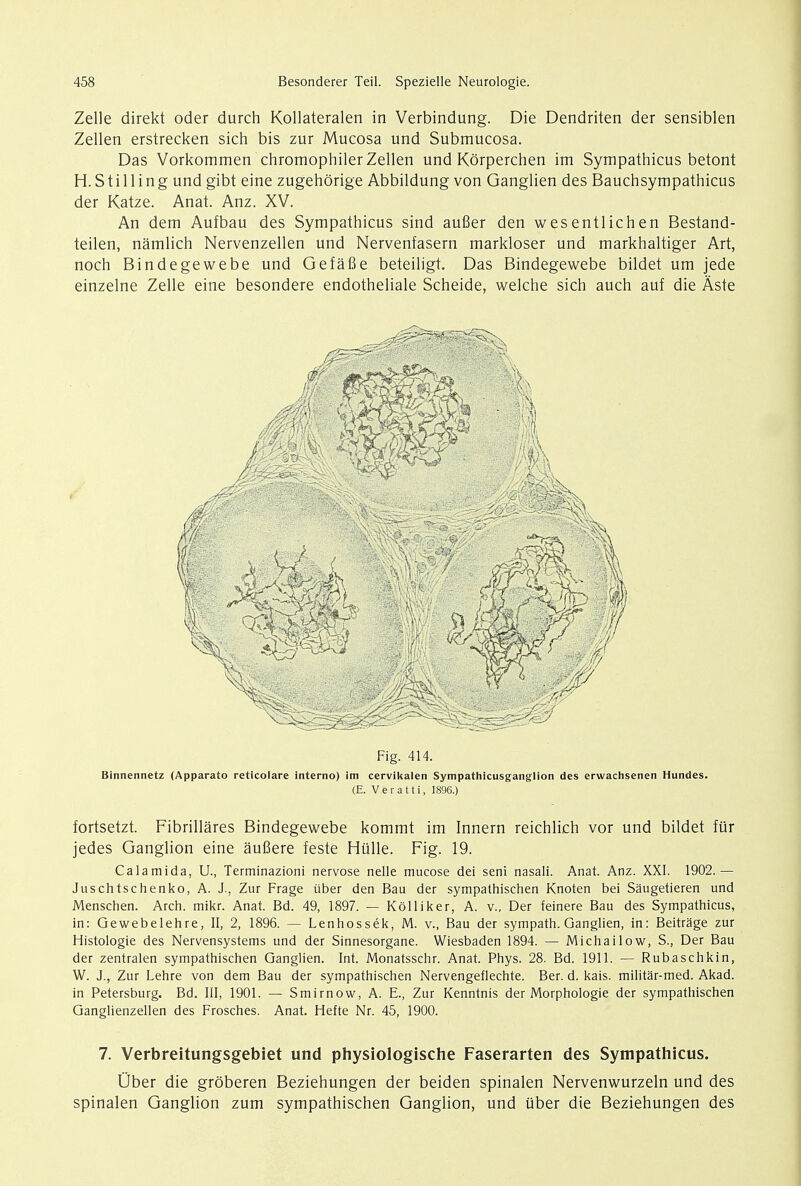 Zelle direkt oder durch Kollateralen in Verbindung. Die Dendriten der sensiblen Zellen erstrecken sich bis zur Mucosa und Submucosa. Das Vorkommen chromophiler Zellen und Korperchen im Sympathicus betont H.Stilling und gibt eine zugehbrige Abbildung von Ganglien des Bauchsympathicus der Katze. Anat. Anz. XV. An dem Aufbau des Sympathicus sind aufier den wesentlichen Bestand- teilen, namlich Nervenzellen und Nervenfasern markloser und markhaltiger Art, noch Bindegewebe und Gefafie beteiligt. Das Bindegewebe bildet um jede einzelne Zelle eine besondere endotheliale Scheide, welche sich auch auf die Aste Fig. 414. Binnennetz (Apparato reticolare interno) im cervikalen Sympathlcusganglion des erwachsenen Hundes. (E. Veratti, 1896.) fortsetzt. Fibrillares Bindegewebe kommt im Innern reichlich vor und bildet fiir jedes Ganglion eine aufiere teste Hiille. Fig. 19. Calamida, U., Terminazioni nervose nelle mucose dei seni nasali. Anat. Anz. XXI. 1902.— Juschtschenko, A. J., Zur Frage tiber den Bau der sympathischen Knoten bei Saugetieren und Menschen. Arch. mikr. Anat. Bd. 49, 1897. — Kolliker, A. v., Der feinere Bau des Sympathicus, in: Gewebelehre, II, 2, 1896. — Lenhossek, M. v., Bau der sympath. Ganglien, in: Beitrage zur Histologie des Nervensystems und der Sinnesorgane. Wiesbaden 1894. — Michailow, S., Der Bau der zentralen sympathischen Ganglien. Int. Monatsschr. Anat. Phys. 28. Bd. 1911. — Rubaschkin, W. J., Zur Lehre von dem Bau der sympathischen Nervengeflechte. Ber. d. kais. militar-med. Akad. in Petersburg. Bd. Ill, 1901. — Smirnow, A. E., Zur Kenntnis der Morphologie der sympathischen Ganglienzellen des Frosches. Anat. Hefte Nr. 45, 1900. 7. Verbreitungsgebiet und physiologische Faserarten des Sympathicus. Uber die groberen Beziehungen der beiden spinalen Nervenwurzeln und des spinalen Ganglion zum sympathischen Ganglion, und tiber die Beziehungen des