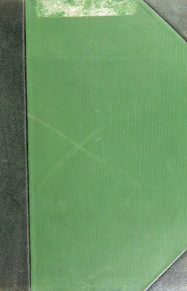 digitised image 1