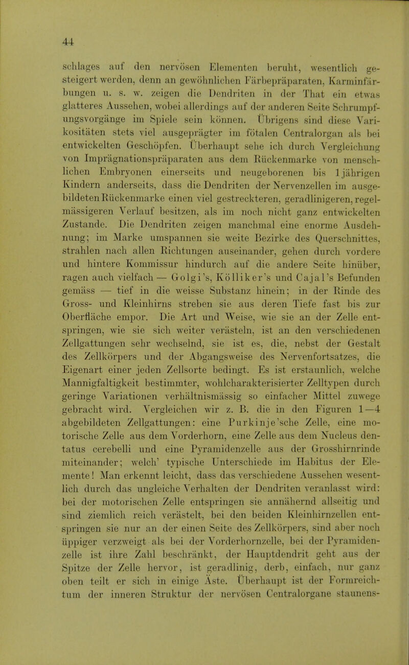 sclilages auf den nervosen Eleinenten beruht, wesentlicli ge- steigert werden, denn an gewohnliclien Fiirbepraparaten, Karminfiir- bungen ii. s. w. zeigen die Dendriten in der Tbat ein etwas glatteres Ausseben, wobei allerdings auf der anderen Seite Scbrumpf- imgsvorgange im Spiele sein konnen. Ubrigens sind diese Vari- kositaten stets viel ausgepriigter im fotalen Centralorgan als bei entwickelten Geschopfen. Uberhaupt sehe ich durch Vergleichung von Impragnationsprilparaten aiis dem Riickenmarke von mensch- lichen Embryonen einerseits und neugeborenen bis Ijahrigen Kindern anderseits, dass die Dendriten der Nervenzellen im ausge- bildeten Riickenmarke einen viel gestreckteren, geradlinigeren, regel- massigeren Verlaiif besitzen, als im noch nicht ganz entwickelten Ziistande. Die Dendriten zeigen manchmal eine enorme Ausdeh- niing; im Marke umspannen sie weite Bezirke des Querschnittes, strahlen nach alien Richtiingen aiiseinander, gehen durch vordere und hintere Kommissur liindurch auf die andere Seite biniiber, ragen aucb vielfacb — Golgi's, Kolliker's und Cajal's Befunden gemiiss — tief in die weisse Substanz hinein; in der Rinde des Gross- und Kleinhirns streben sie aus deren Tiefe fast bis zur Oberflache empor. Die Art und Weise, wie sie an der Zelle ent- springen, wie sie sich weiter verasteln, ist an den verschiedenen Zellgattungen sebr wechselnd, sie ist es, die, nebst der Gestalt des Zellkorpers und der Abgangsweise des Nervenfortsatzes, die Eigenart einer jeden Zellsorte bedingt. Es ist erstaunlich, welche Mannigfaltigkeit bestimmter, wohlcliarakterisierter Zelltypen durch geringe Variationen verhaltnismassig so einfacher Mittel zuwege gebracht wird. Vergleichen wir z. B. die in den Figuren 1—4 abgebildeten Zellgattungen: eine Purkinje'sche Zelle, eine mo- torische Zelle aus dem Vorderhorn, eine Zelle aus dem Nucleus den- tatus cerebelli und eine Pyramidenzelle aus der Grosshirnrinde miteinander; welch' typische Unterschiede im Habitus der Ele- mente! Man erkennt leicht, dass das verschiedene Aussehen wesent- lich durch das ungleiche Verhalten der Dendriten veranlasst wird: bei der motorischen Zelle entspringen sie anniihernd allseitig und sind ziemlich reich verastelt, bei den beiden Kleinliirnzellen ent- springen sie nur an der einen Seite des Zellkorpers, sind aber noch iippiger verzweigt als bei der Vorderhornzelle, bei der Pyramiden- zelle ist ihre Zahl beschriinkt, der Hauptdendrit geht aus der Spitze der Zelle hervor, ist geradlinig, derb, einfach, nur ganz oben teilt er sich in einige Aste. Uberhaupt ist der Formreich- tum der inneren Struktur der nervosen Centralorgane staunens-