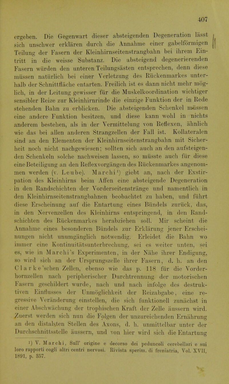 ergeben. Die Gegenwart dieser absteigenden Degeneration lasst sich unscbwer erklaren durch die Annalime einer gabelformigen Teilimg der Fasern der Kleinhirnseitenstrangbabn bei ihrem Ein- tritt in die weisse Substanz. Die absteigend degenerierenden Fasern wiirden den unteren Teilungsasten entsprechen, denn diese miissen natiirlich bei einer Verletzimg des Rlickenmarkes unter- halb der Schnitttlache entarten. Freilich ist es dann nicht mehr mog- lich, in der Leitung gewisser fiir die Muskelkoordination wichtiger sensibler Reize zur Kleinhirnrinde die einzige Fimktion der in Rede stehenden Bahn zii erblicken. Die absteigenden Sdienkel miissen eine andere Funktion besitzen, und diese kann wohl in nichts anderem bestehen, als in der Vermittelung von Rellexen, ahnlicb wie das bei alien anderen Strangzellen der Fall ist. Kollateralen sind an den Elementen der Kleinhirnseitenstrangbahn mit Sicher- lieit nocli nicht nachgewiesen; sollten sich aiich an den aiifsteigen- den Schenkeln solche nachweisen lassen, so miisste auch fiir diese eine Beteiligimg an den Reflexvorgangen des Rlickenmarkes angenom- men werden (v. Leiibe). Marchi^) giebt an, nach der Exstir- pation des Kleinhirns beim Affen eine absteigende Degeneration in den Randschichten der Vorderseitenstrange nnd namentlich in den Kleinhirnseitenstrangbahnen beobachtet zu haben, iind fiihrt diese Erscheinimg aiif die Entartung eines Biindels zurlick, das, in den Nervenzellen des Kleinhirns entspringend, in den Rand- schichten des Rlickenmarkes herabziehen soli. Mir scheint die Annahme eines besonderen Biindels zur Erklarung jener Erschei- nimgen nicht iinumganglich notwendig. Erleidet die Bahn wo immer eine Kontinuitatsunterbrechiing, sei es weiter unten, sei es, wie in Marchi's Experimenten, in der Nahe ihrer Endigung, so wird sich an der Ursprimgszelle ihrer Fasern, d. li. an den Clarke'schen Zellen, ebenso wie das p. 118 fiir die Vorder- hornzellen nach peripherischer Durchtrennimg der motorischen Fasern geschildert wurde, nach imd nach infolge des destruk- tiven Einfliisses der Unmoglichkeit der Reizabgabe, eine re- gressive Veranderung einstellen, die sich fimktionell zimiichst in einer Abschwachimg der trophischen Kraft der Zelle ixussern wird. 2uerst werden sich mm die Fplgen der unzureichenden Erniihrimg an den distaUten Stellen des Axons, d. h. iinmittelbar imter der Durchschnittsstclle iiiissern, und von hier wird sich die Entartung 1) V. Marchi, Sull' origine e decorso dei pcduncoli cerebellari e sui loro rapporti cogli altri centri nervosi. Rivista sperim. di freniatria, Vol. XVII, 1891, p. 357.