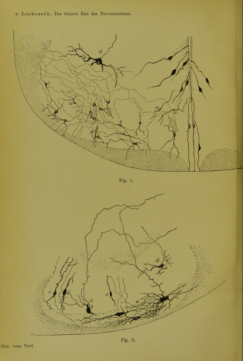 Fig. 1. Fig. 3.