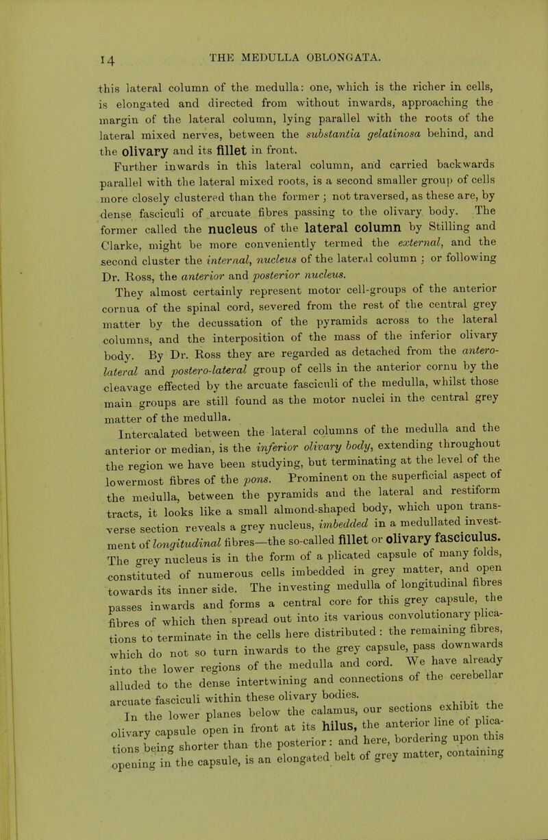 this lateral column of the medulla: one, which is the richer in cells, is elongated and directed from without inwards, approaching the margin of the lateral column, lying parallel with the roots of the lateral mixed nerves, between the substantia gelatinosa behind, and the olivary and its fillet in front. Further inwards in this lateral column, arid carried backwards parallel with the lateral mixed roots, is a second smaller group of cells more closely clustered than the former ; not traversed, as these are, by •dense fasciculi of arcuate fibres passing to the olivary body. The former called the nucleus of the lateral COlumn by Stilling and Clarke, might be more conveniently termed the external, and the second cluster the internal, nucleus of the lateral column ; or following Dr. Ross, the anterior and posterior nucleus. They almost certainly represent motor cell-groups of the anterior cornua of the spinal cord, severed from the rest of the central grey matter by the decussation of the pyramids across to the lateral columns, and the interposition of the mass of the inferior olivary body. By Dr. Ross they are regarded as detached from the antero- lateral and postero-lateral group of cells in the anterior cornu by the cleavage effected by the arcuate fasciculi of the medulla, whilst those main groups are still found as the motor nuclei in the central grey matter of the medulla. Intercalated between the lateral columns of the medulla and the anterior or median, is the inferior olivary body, extending throughout the region we have been studying, but terminating at the level of the lowermost fibres of the pons. Prominent on the superficial aspect of the medulla, between the pyramids and the lateral and restiform tracts it looks like a small almond-shaped body, which upon trans- verse section reveals a grey nucleus, imbedded in a medullated invest- ment of longitudinal fibres-the so-called fillet or olivary faSClCUluS. The -rey nucleus is in the form of a plicated capsule of many folds, constituted of numerous cells imbedded in grey matter and open towards its inner side. The investing medulla of longitudma fibres passes inwards and forms a central core for this grey capsule, the fibres of which then spread out into its various convolutionary plica- tions to terminate in the cells here distributed : the remaining fibres, which do not so turn inwards to the grey capsule pass downwards into the lower regions of the medulla and cord. We have already aUuded to the dense intertwining and connections of the cerebellar arcuate fasciculi within these olivary bodies. In the lower planes below the calamus, our sections exhibit the olivary capsule open in front at its hilus, the anterior line of phca- t ons be n' shorter than the posterior: and here, bordering upon this pe n^m the capsule, is an elongated belt of grey matter, containing