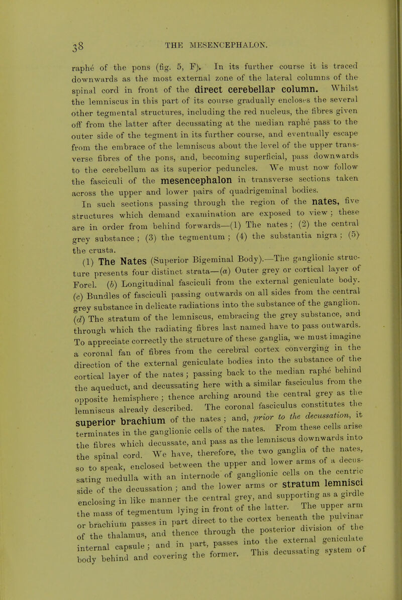 raphe of the pons (fig. 5, F). In its further course it is traced downwards as the most external zone of the lateral columns of the spinal cord in front of the direct cerebellar column. Whilst the lemniscus in this part of its course gradually encloses the several other tegmental structures, including the red nucleus, the fibres given off from the latter after decussating at the median raphe pass to the outer side of the tegment in its further course, and eventually escape from the embrace of the lemniscus about the level of the upper trans- verse fibres of the pons, and, becoming superficial, pass downwards to the cerebellum as its superior peduncles. We must now follow the fasciculi of the mesencephalon in transverse sections taken across the upper and lower pairs of quadrigeminal bodies. In such sections passing through the region of the nateS, five structures which demand examination are exposed to view ; these are in order from behind forwards—(1) The nates ; (2) the central grey substance ; (3) the tegmentum ; (4) the substantia nigra ; (5) the crusta. (1) The Nates (Superior Bigeminal Body).—The ganglionic struc- ture presents four distinct strata—(a) Outer grey or cortical layer of Forel. (6) Longitudinal fasciculi from the external geniculate body, (c) Bundles of fasciculi passing outwards on all sides from the central grey substance in delicate radiations into the substance of the ganglion. h) The stratum of the lemniscus, embracing the grey substance, and throuc^h which the radiating fibres last named have to pass outwards. To appreciate correctly the structure of these ganglia, we must imagine a coronal fan of fibres from the cerebral cortex converging in the direction of the external geniculate bodies into the substance of the cortical layer of the nates ; passing back to the median raphe behind the aqueduct, and decussating here with a similar fasciculus from the opposite hemisphere ; thence arching around the central grey as the lemniscus alreadv described. The coronal fasciculus constitutes the superior Toracliium of the nates ; and, prior to the decussatwn, it termTnates in the ganglionic cells of the nates. From these cells arise the fibres which decussate, and pass as the lemniscus downwards into the spinal cord. We have, therefore, the two ganglia of the nates, so to speak, enclosed between the upper and lower arms of a decus- sating medulla with an internode of ganglionic cells on the centr.c sMe ^fThe decussation; and the lower arms or stratum lemniSCl enclosing in like manner the central grey, and suppoi.ing as a gn-dle the mass of tegmentum lying in front of the latter. The upper arm or brachium passes in part direct to the cortex beneath the pulvina. the thalamus and thence through the posterior division of the of the th^l^™^;'/' d in part passes into the external geniculate a:^^^^ the'fLier. This decussating system o.