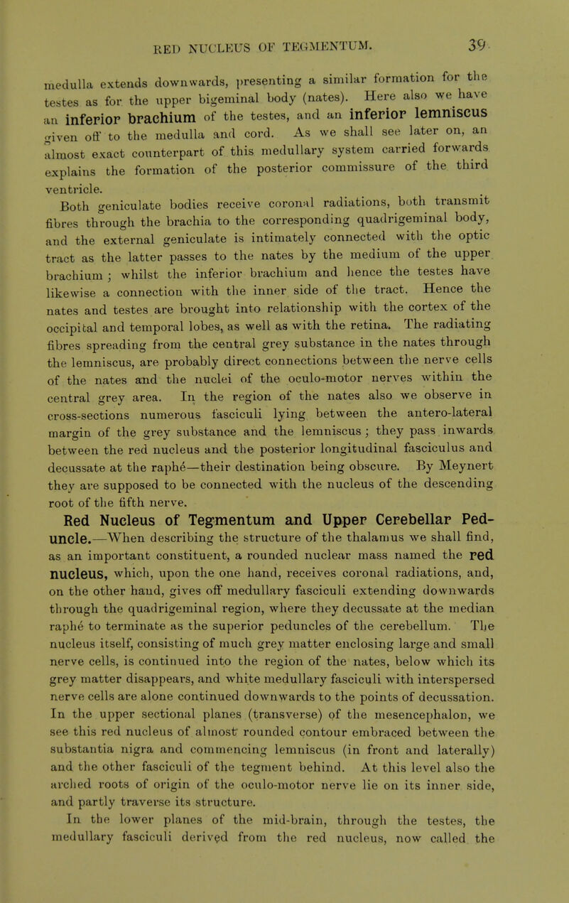 medulla extends downwards, presenting a similar formation for the testes as for the upper bigeminal body (nates). Here also we have an inferior brachium of the testes, and an inferior lemniscus given oflf to the medulla and cord. As we shall see later on, an almost exact counterpart of this medullary system carried forwards explains the formation of the posterior commissure of the third ventricle. Both geniculate bodies receive coronal radiations, both transmit fibres through the brachia to the corresponding quadrigeminal body, and the external geniculate is intimately connected with the optic tract as the latter passes to the nates by the medium of the upper brachium ; whilst the inferior brachium and hence the testes have likewise a connection with the inner side of the tract. Hence the nates and testes are brought into relationship with the cortex of the occipital and temporal lobes, as well as with the retina. The radiating fibres spreading from the central grey substance in the nates through the lemniscus, are probably direct connections between the nerve cells of the nates and the nuclei of the oeulo-motor nerves within the central grey area. In the region of the nates also we observe in cross-sections numerous fasciculi lying between the antero-lateral margin of the grey substance and the lemniscus ; they pass inwards, between the red nucleus and the posterior longitudinal fasciculus and decussate at the raphe—their destination being obscure. By Meynert they are supposed to be connected with the nucleus of the descending root of the fifth nerve. Red Nucleus of Tegmentum and Uivper Cerebellar Ped- uncle.—When describing the structure of the thalamus we shall find, as an important constituent, a rounded nuclear mass named the red nucleus, which, upon the one hand, receives coronal radiations, and, on the other hand, gives off medullary fasciculi extending downwards through the quadrigeminal region, where they decussate at the median raphe to terminate as the superior peduncles of the cerebellum. The nucleus itself, consisting of much grey matter enclosing large and small nerve cells, is continued into the region of the nates, below which its grey matter disappears, and white medullaiy fasciculi with interspersed nerve cells are alone continued downwards to the points of decussation. In the upper sectional planes (transverse) of the mesencephalon, we see this red nucleus of almost rounded contour embraced between the substantia nigra and commencing lemniscus (in front and laterally) and the other fasciculi of the tegment behind. At this level also the arched roots of origin of the oculo-motor nerve lie on its inner side, and partly traverse its structure. In the lower planes of the mid-brain, through the testes, the medullary fasciculi derived from the red nucleus, now called the