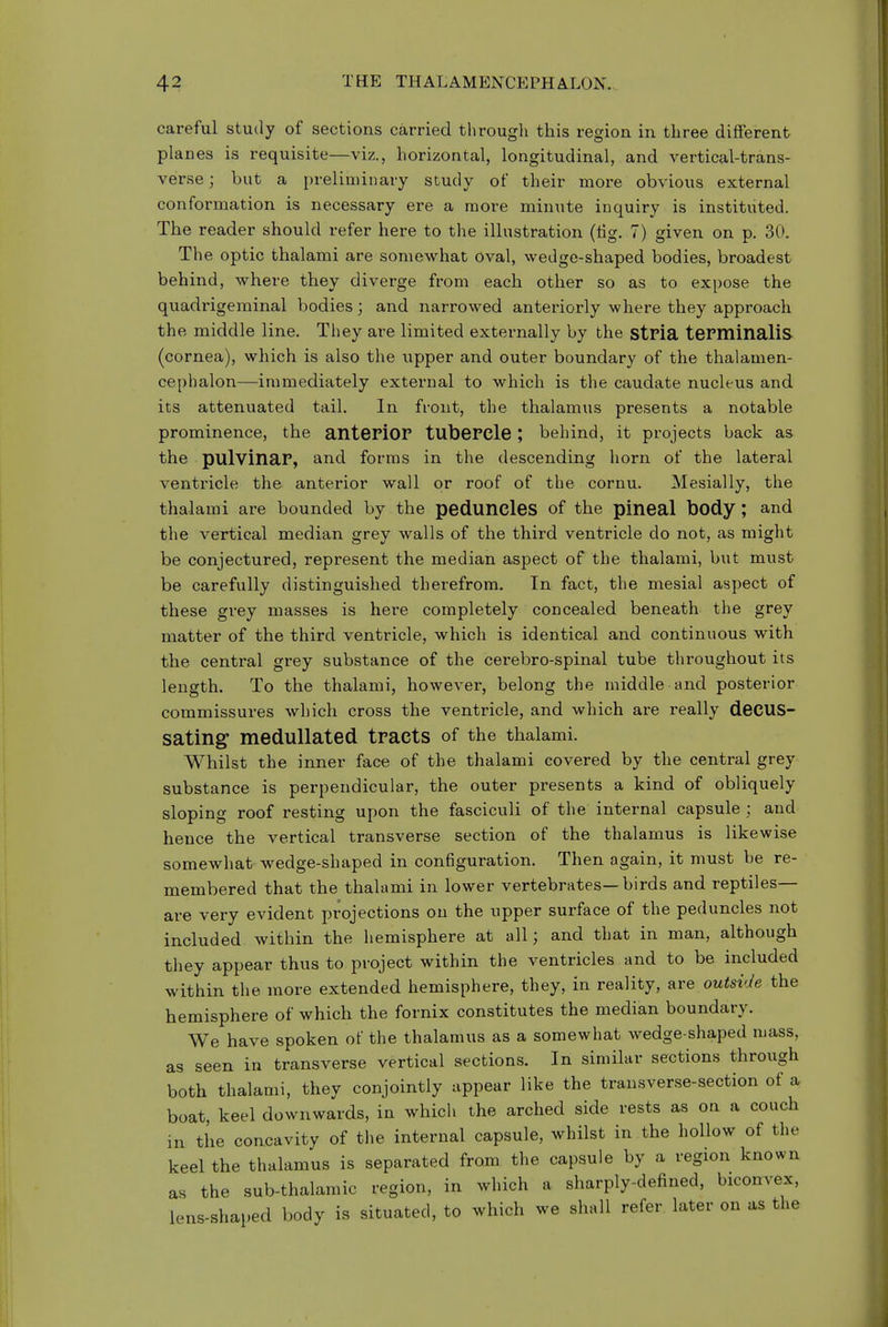 careful study of sections carried tli rough this region in three different planes is requisite—viz., horizontal, longitudinal, and vertical-trans- verse ; but a pi-eliniinavy study of their more obvious external conformation is necessary ere a more minute inquiry is instituted. The reader should refer here to the illustration (tig. 7) given on p. 30. The optic thalami are somewhat oval, wedge-shaped bodies, broadest behind, where they diverge from each other so as to expose the quadrigeminal bodies; and narrowed anteriorly where they approach the middle line. They are limited externally by the stPia tePminaliS (cornea), which is also the upper and outer boundary of the thalamen- ceplialon—immediately external to which is the caudate nucleus and its attenuated tail. In front, the thalamus presents a notable prominence, the anterior tubercle; behind, it projects back as the pulvinar, and forms in the descending horn of the lateral ventricle the anterior wall or roof of the cornu. Mesially, the thalami are bounded by the peduncles of the pineal body ; and the vertical median grey walls of the third ventricle do not, as might be conjectured, represent the median aspect of the thalami, but must be carefully distinguished therefrom. In fact, the mesial aspect of these grey masses is here completely concealed beneath the grey matter of the third ventricle, which is identical and continuous with the central grey substance of the cerebro-spinal tube throughout its length. To the thalami, however, belong the middle and posterior commissures which cross the ventricle, and which are really deCUS- sating medullated tracts of the thalami. Whilst the inner face of the thalami covered by the central grey substance is perpendicular, the outer presents a kind of obliquely sloping roof resting upon the fasciculi of the internal capsule ; and hence the vertical transverse section of the thalamus is likewise somewhat wedge-shaped in configuration. Then again, it must be re- membered that the thalami in lower vertebrates—birds and reptiles— are very evident projections on the upper surface of the peduncles not included within the hemisphere at all; and that in man, although they appear thus to project within the ventricles and to be included within the more extended hemisphere, they, in reality, are outside the hemisphere of which the fornix constitutes the median boundary. We have spoken of the thalamus as a somewhat wedge-shaped mass, as seen in transverse vertical sections. In similar sections through both thalami, they conjointly appear like the transverse-section of a boat, keel downwards, in whicli the arched side rests as on a couch in the concavity of the internal capsule, whilst in the hollow of the keel the thalamus is separated from the capsule by a region known as the sub-thalamic region, in which a sharply-defined, biconvex, lens-shaped body is situated, to which we shall refer later on as the