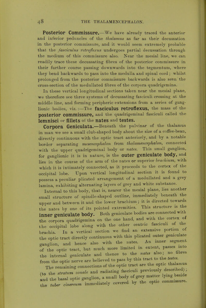 Posterior CommiSSUPe.—We have already traced the anterior and infei'ior peduncles of the thalamus as far as their decussation in the posterior commissure, and it would seem extremely probable that the fascicukis retroJJexus undergoes partial decussation through the medium of this commissure also. Kear the mesial line, we can readily trace these decussating fibres of the posterior commissure in their further course passing downwards into the tegmentum, where they bend backwards to pass into the medulla and spinal cord; whilst prolonged from the posterior commissure backwards is also seen the cross-section of the medullated fibres of the corpora quadrigemina. In these vertical longitudinal sections taken near the mesial plane, we therefore see three systems of decussating fasciculi crossing at the middle line, and forming peripheric extensions from a series of gang- lionic bodies, viz. :—The faSCiCUlUS retroflexus, the mass of the posterior commissure, and the quadrigeminal fasciculi called the lemnisci or fillets ot the nates and testes. Corpora GeniCUlata.—Beneath the pulvinar of the thalamus in man we see a small club-shaped body about the size of a coffee-bean, directly continuous with the optic tract anteriorly, and by a notable border separating mesencephalon from ihalamencephalon, connected with the upjjer quadrigeminal body or nates. This small ganglion, for ganglionic it is in nature, is the outer geniculate body, and lies in the course of the arm of the nates or superior brachium, with which it is intimately connected, as it proceeds to the cortex of the occipital lobe. Upon vertical longitudinal section it is found to possess a peculiar plicated arrangement of a medullated and a grey lamina, exhibiting alternating layers of grey and white substance. Internal to this body, that is, nearer the mesial plane, lies another small structure of spindle-shaped outline, immediately beneath the upper and between it and the lower brachium ; it is directed towards the nates by one of its pointed extremities. This structure is the inner geniculate body. Both geniculate bodies are connected with the corpora quadrigemina on the one hand, and with the cortex of the occipital lobe along with the other centric fasciculi of the brachia. In a vertical section we find an extensive portion of the optic tract directly continuous with this plicated outer geniculate ganglion, and hence also with the nates. An inner segment o{ the optic tract, but much more limited in extent, passes into the internal geniculate and thence to the vates also; no fibre, from the optic nerve are believed to pass by this tract to the testes^ The remaining connections of the optic tract are the optic thalamus (to the stratum zonale and radiating fasciculi previously described);. and the basal optic ganglion, a sn.all body of grey matter lying beside Te Zer immediately covered by the optic commissure.