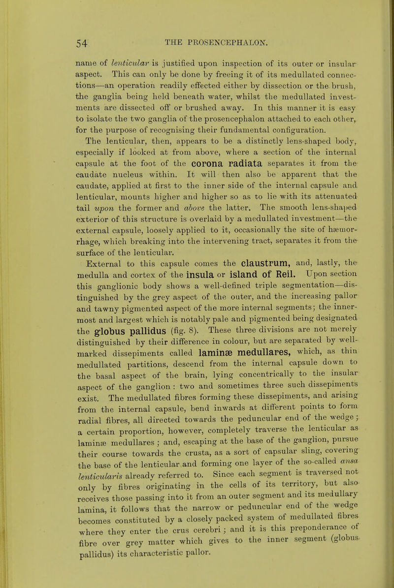 name of lenticular is justified upon inspection of its outef or insular aspect. This can only be done by freeing it of its medullated connec- tions—an operation readily effected either by dissection or the brush, the ganglia being held beneath water, v/hilst the medullated invest- ments are dissected off or brushed away. In this manner it is easy to isolate the two ganglia of the prosencephalon attached to each other,, for the purpose of recognising their fundamental configuration. The lenticular, then, appears to be a distinctly lens-shaped body, especially if looked at from above, where a section of the internal capsule at the foot of the COPOna Padiata separates it from the caudate nucleus within. It will then also be apparent that the caudate, applied at first to the inner side of the internal capsule and lenticular, mounts higher and higher so as to lie with its attenuated tail upon the former and above the latter. The smooth lens-shaped exterior of this structure is overlaid by a medullated investment—the external capsule, loosely applied to it, occasionally the site of haemor- rhage, which breaking into the intervening tract, separates it from the^ surface of the lenticulai\ External to this capsule comes the claustPUm, and, lastly, the medulla and cortex of the insula or island of Reil. Upon section this ganglionic body shows a well-defined triple segmentation—dis- tinguished by the grey aspect of the outer, and the increasing pallor and tawny pigmented aspect of the more internal segments; the inner- most and largest which is notably pale and pigmented being designated the globus pallldus (fig. 8). These three divisions are not merely distinguished by their difference in colour, but are separated by well- marked dissepiments called laminSB medullapes, which, as thin medullated partitions, descend from the internal capsule down to the basal aspect of the brain, lying concentrically to the insular aspect of the ganglion : two and sometimes three such dissepiments exist. The medullated fibres forming these dissepiments, and arising from the internal capsule, bend inwards at different points to form radial fibres, all directed towards the peduncular end of the wedge; a certain proportion, however, completely traverse the lenticular as laminse medullares ; and, escaping at the base of the ganglion, pursue their course towards the crusta, as a sort of capsular sling, covering the base of the lenticular and forming one layer of the so-called ansa lenticularis alreadv referred to. Since each segment is traversed not only by fibres originating in the cells of its territory, but also receives those passing into it from an outer segment and its medullary lamina, it follows that the narrow or peduncular end of the wedge becomes constituted by a closely packed system of medullated fibres where they enter the crus cerebri; and it is this preponderance of fibre over grey matter which gives to the inner segment (globus- pallidus) its characteristic pallor.