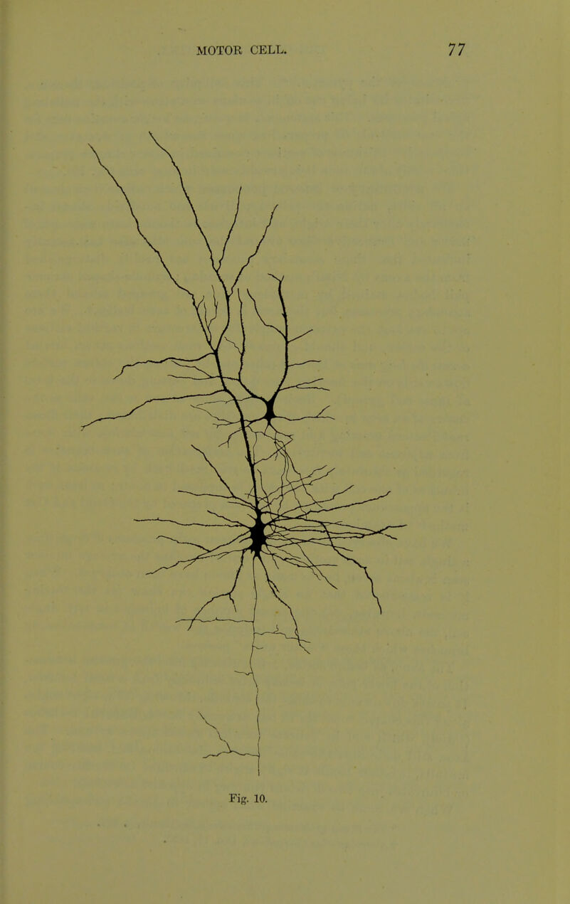 Fig. 10.