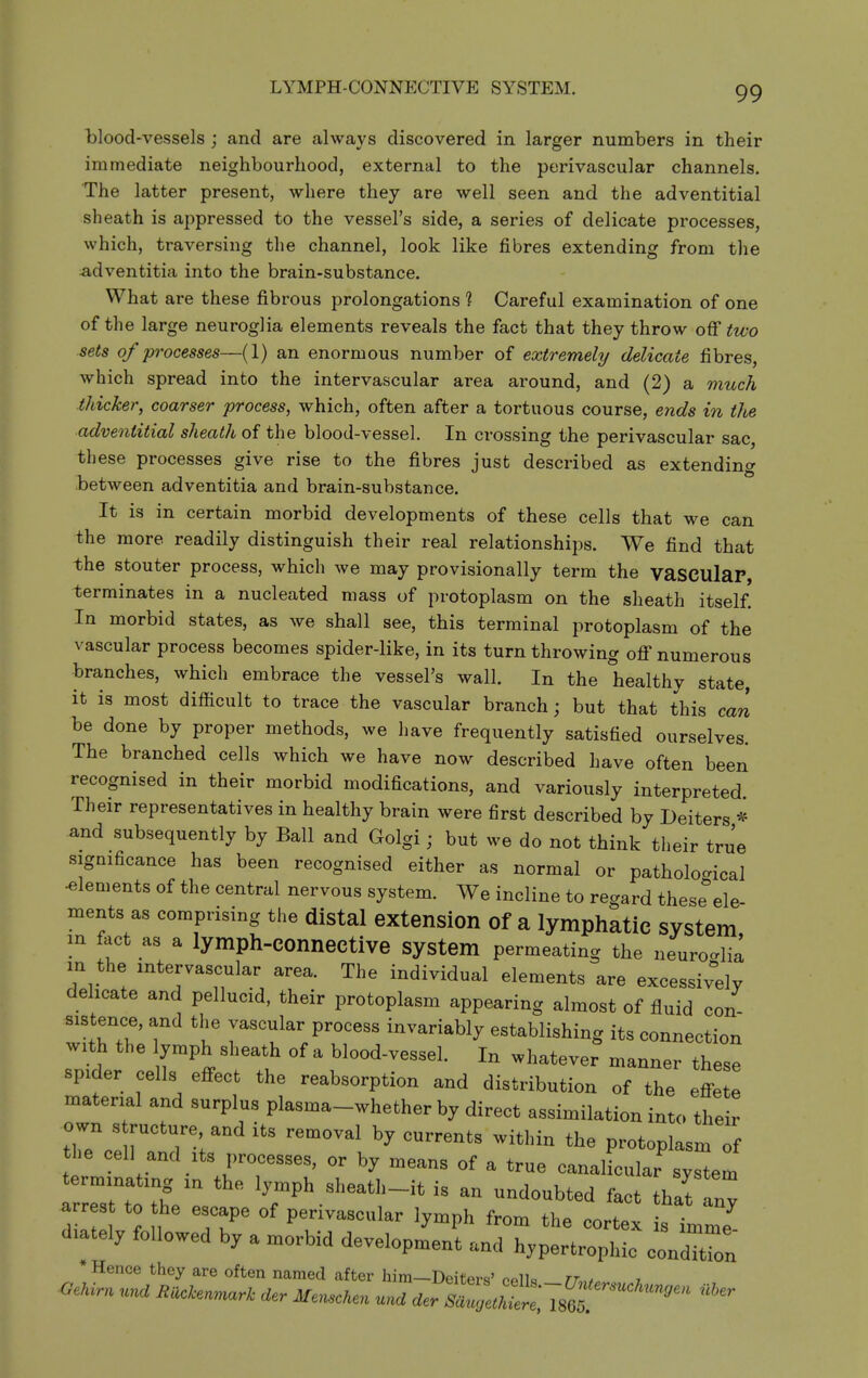 LYMPH-CONNECTIVE SYSTEM. blood-vessels ; and are always discovered in larger numbers in their immediate neighbourhood, external to the perivascular channels. The latter present, where they are well seen and the adventitial sheath is appressed to the vessel's side, a series of delicate processes, which, traversing the channel, look like fibres extending from the adventitia into the brain-substance. What are these fibrous prolongations 1 Careful examination of one of the large neuroglia elements reveals the fact that they throw off two sets of processes—(1) an enormous number of extremely/ delicate fibres, which spread into the intervascular area around, and (2) a much thicker, coarser process, which, often after a tortuous course, ends in the adventitial sheath of the blood-vessel. In crossing the perivascular sac, these processes give rise to the fibres just described as extending between adventitia and brain-substance. It is in certain morbid developments of these cells that we can the more readily distinguish their real relationships. We find that the stouter process, which we may provisionally term the vascular, terminates in a nucleated mass of protoplasm on the sheath itself. In morbid states, as we shall see, this terminal protoplasm of the vascular process becomes spider-like, in its turn throwing ofi' numerous branches, which embrace the vessel's wall. In the healthy state, it is most difiicult to trace the vascular branch; but that this can be done by proper methods, we have frequently satisfied ourselves. The branched cells which we have now described have often been recognised in their morbid modifications, and variously interpreted. Their representatives in healthy brain were first described by Deiters * and subsequently by Ball and Golgi; but we do not think their true significance has been recognised either as normal or pathological elements of the central nervous system. We incline to regard these^ele ments as comprising the distal extension of a lymphatic system in fact as a lymph-COnnective system permeating the neuroglia in the intervascular area. The individual elements are excessively delicate and pellucid, their protoplasm appearing almost of fluid con- sistence, and the vascular process invariably establishing its connection with the lymph sheath of a blood-vessel. In whatever manner these spider cells effect the reabsorption and distribution of the effe e material and surplus plasma-whether by direct assimilation into their own s ructure and its removal by currents within the protoplasm of he cell and Its processes, or by means of a true canalicular sylm terminating in the lymph sheath-it is an undoubted fact thatIny arres to he escape of perivascular lymph from the cortex s im j diately followed by a morbid development and hypertrophic condTt'on * Hence they are often named after him—Deiters' c<,]U tt.„.