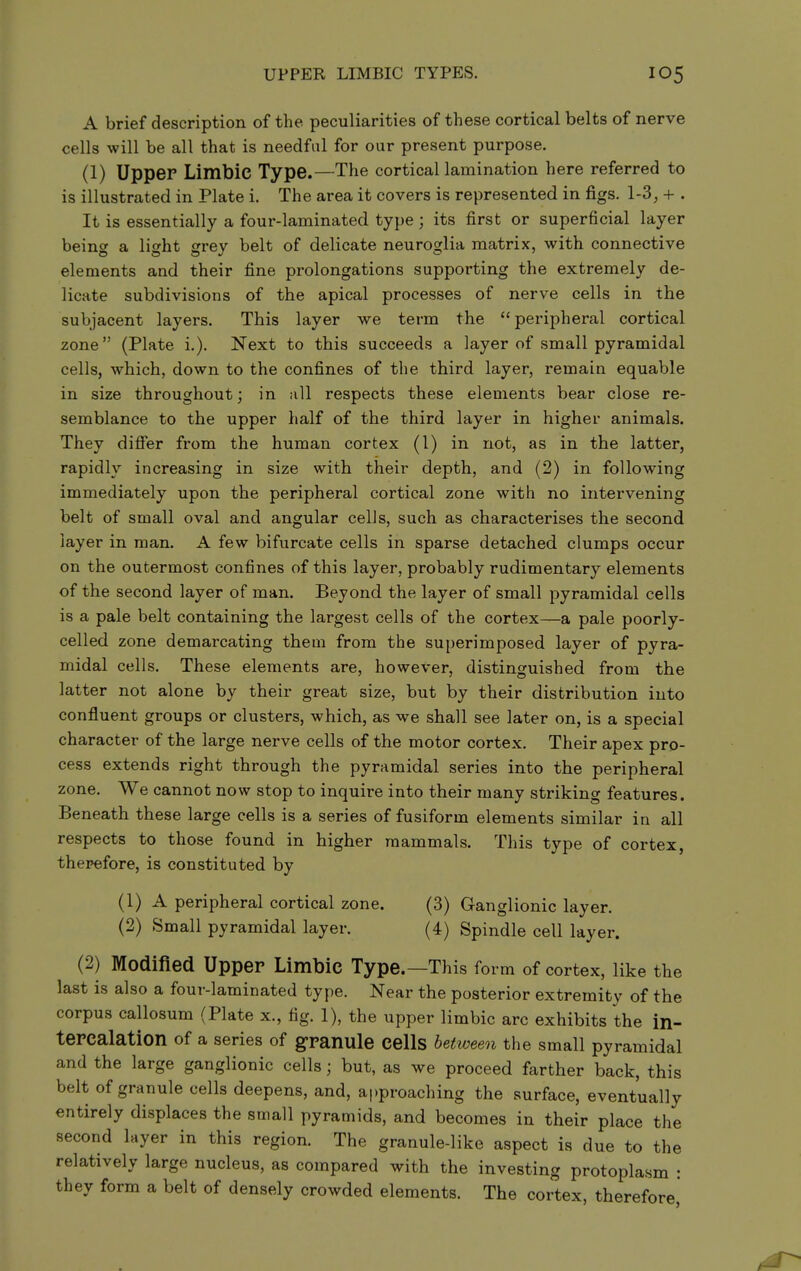 UPPER LIMBIC TYPES. A brief description of the peculiarities of these cortical belts of nerve cells will be all that is needful for our present purpose. (1) Upper Limbic Type.—The cortical lamination here referred to is illustrated in Plate i. The area it covers is represented in figs. 1-3^ + . It is essentially a four-laminated type; its first or superficial layer being a light grey belt of delicate neuroglia matrix, with connective elements and their fine prolongations supporting the extremely de- licate subdivisions of the apical processes of nerve cells in the subjacent layers. This layer we term the peripheral cortical zone (Plate i.). Next to this succeeds a layer of small pyramidal cells, which, down to the confines of the third layer, remain equable in size throughout; in ;ill respects these elements bear close re- semblance to the upper half of the third layer in higher animals. They difier from the human cortex (1) in not, as in the latter, rapidly increasing in size with their depth, and (2) in following immediately upon the peripheral cortical zone with no intervening belt of small oval and angular cells, such as characterises the second layer in man. A few bifurcate cells in sparse detached clumps occur on the outermost confines of this layer, probably rudimentary elements of the second layer of man. Beyond the layer of small pyramidal cells is a pale belt containing the largest cells of the cortex—a pale poorly- celled zone demarcating them from the superimposed layer of pyra- midal cells. These elements are, however, distinguished from the latter not alone by their great size, but by their distribution into confluent groups or clusters, which, as we shall see later on, is a special character of the large nerve cells of the motor cortex. Their apex pro- cess extends right through the pyramidal series into the peripheral zone. We cannot now stop to inquire into their many striking features. Beneath these large cells is a series of fusiform elements similar in all respects to those found in higher mammals. This type of cortex, therefore, is constituted by (1) A peripheral cortical zone. (3) Ganglionic layer. (2) Small pyramidal layer. (4) Spindle cell layer. (2) Modified Upper Limbic Type.—This form of cortex, like the last is also a four-laminated type. Near the posterior extremity of the corpus callosum (Plate x., fig. 1), the upper limbic arc exhibits the in- tercalation of a series of granule cells between the small pyramidal and the large ganglionic cells; but, as we proceed farther back, this belt of granule cells deepens, and, approaching the surface, eventually entirely displaces the small pyramids, and becomes in their place the second layer in this region. The granule-like aspect is due to the relatively large nucleus, as compared with the investing protoplasm : they form a belt of densely crowded elements. The cortex, therefore,'