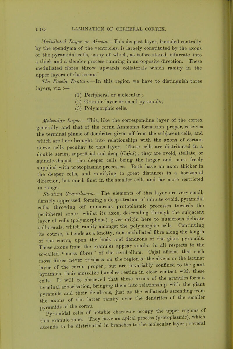 Medullated Layer or Alveus.—This deepest layer, bovmded centrally by the ependyma of the ventricles, is largely constituted by the axons of the ])yramidal cells, many of which, as before stated, bifurcate into a thick and a slender process running in an opposite direction. These medullated fibres throw upwards collaterals which ramify in the upper layers of the cornu. The Fascia Dentata.—In this region we have to distinguish three layers, viz. :— (1) Peripheral or molecular ; (2) Granule layer or small pyramids; (3) Polymorphic cells. Molecular Layer.—This, like the corresponding layer of the cortex generally, and that of the cornu Ammonis formation proper, receives the terminal plume of dendrites given off from the subjacent cells, and which are here brought into relationships with the axons of certain nerve cells peculiar to this layer. These cells are distributed in a double series, superficial and deep {Cajal); they are ovoid, stellate, or spindle-shaped—the deeper cells being the larger and more freely supplied with protoplasmic processes. Both have an axon thicker in the deeper cells, and ramifying to great distances in a horizontal direction, but much finer in the smaller cells and far more restricted in range. Stratum Granulosum.—The elements of this layer are very small, densely appressed, forming a deep stratum of minute ovoid, pyramidal cells, throwing off numerous protoplasmic processes towards the peripheral zone: whilst its axon, descending through the subjacent layer of cells (polymorphous), gives origin here to numerous delicate collaterals, which ramify amongst the polymorphic cells. Continuing its course, it bends as a knotty, non-medullated fibre along the length of the cornu, upon the body and dendrons of the giant pyramids. These axons from the granules appear similar in all respects to the so-called moss fibres of the cerebellum. Cajal affirms that such moss fibres never trespass on the region of the alveus or the lacunar layer of the cornu proper; but are invariably confined to the giant pyramids, their moss-like bunches resting in close contact with these cells. It will be observed that these axons of the granules form a terminal arborisation, bringing them into relationship with the giant pyramids and their dendrons, just as the collaterals ascending from the axons of the latter ramify over the dendrites of the smaller pyramids of the cornu. Pyramidal cells of notable character occupy the upper regions of this granule zone. They have an apical process (protoplasmic), which ascends to be distributed in branches to the molecular layer; several