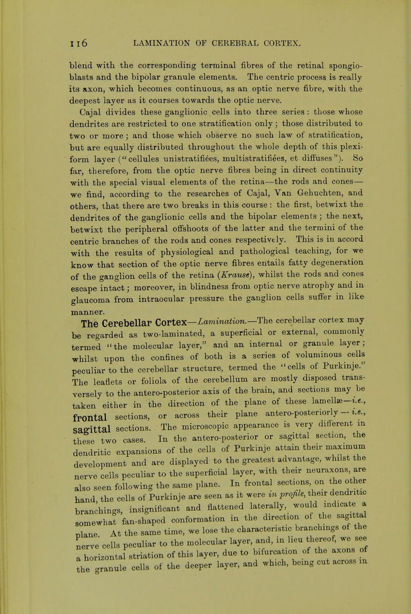 blend with the corresponding terminal fibres of the retinal spongio- blasts and the bipolar granule elements. The centric process is really its axon, which becomes continuous, as an optic nerve fibre, with the deepest layer as it courses towards the optic nerve. Cajal divides these ganglionic cells into three series : those whose dendrites are restricted to one stratification only; those distributed to two or more; and those which observe no such law of stratification, but are equally distributed throughout the whole depth of this plexi- form layer (cellules unistratifi^es, multistratifiees, et diffuses). So far, therefore, from the optic nerve fibres being in direct continuity with the special visual elements of the retina—the rods and cones— we find, according to the researches of Cajal, Van Gehuchten, and others, that there are two breaks in this course : the first, betwixt the dendrites of the ganglionic cells and the bipolar elements ; the next, betwixt the peripheral offshoots of the latter and the termini of the centric branches of the rods and cones respectively. This is in accord with the results of physiological and pathological teaching, for we know that section of the optic nerve fibres entails fatty degeneration of the ganglion cells of the retina (Krause), whilst the rods and cones escape intact; moreover, in blindness from optic nerve atrophy and in glaucoma from intraocular pressure the ganglion cells suffer in like manner. The Cerebellar Cortex—Lamination.—The cerebellar cortex may be regarded as two-laminated, a superficial or external, commonly termed the molecular layer, and an internal or granule layer; whilst upon the confines of both is a series of voluminous cells peculiar to the cerebellar structure, termed the cells of Purkinje. The leaflets or foliola of the cerebellum are mostly disposed trans- versely to the antero-posterior axis of the brain, and sections may be taken either in the direction of the plane of these lamell^-i.c, frontal sections, or across their plane antero-posteriorly - i.e., sagittal sections. The microscopic appearance is very diflerent m these two cases. In the antero-posterior or sagittal section, the dendritic expansions of the cells of Purkinje attain their maximum development and are displayed to the greatest advantage, whilst the nerve cells peculiar to the superficial layer, with their neuraxons, are also seen following the same plane. In frontal sections, on the other hand, the cells of Purkinje are seen as it were in profile, their dendritic branchings, insignificant and flattened laterally, would indicate a 3fan-sh%ed conformation in the direction of the sagitta rjlane At the same time, we lose the characteristic branchings of the nerve cells peculiar to the molecular layer, and, in lieu thereof, we see Thorizontal striation of this layer, due to bifurcation of the axons of the granule cells of the deeper layer, and which, being cut across in
