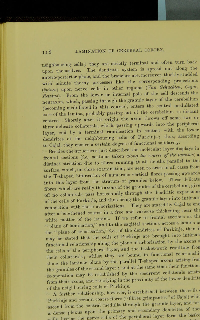 -neighbouring cells; they are strictly terminal and often turn back upon themselves. The dendritic system is spread out along the antero-posterior plane, and the branches are, moreover, thickly studded with minute thorny processes like the corresponding projections (epines) upon nerve cells in other regions {Van Gehuchten, Cajal, Betzius). From the lower or internal pole of the cell descends the neuraxon, which, passing through the granule layer of the cerebellum (becoming meduUated in this course), enters the central medullated core of the lamina, probably passing out of the cerebellum to distant centres. Shortly after its origin the axon throws off some two or three delicate collaterals, which, passing upwards into the peripheral layer end by a terminal ramification in contact with the lower dendrites of the neighbouring cells of Purkinje; thus, according to Cajal, they ensure a certain degree of functional solidarity. Besides the structures just described the molecular layer displays iq: frontal sections {i.e., sections taken along the course of the laminm) a distinct striation due to fibres running at all depths parallel to thq surface, which, on close examination, are seen to arise m all cases from the T-shaped bifurcation of numerous verti<;al fibres passing upwards into this layer from the stratum of granules below. These delicate fibres which are really the axons of the granules of the cerebellum, give off no collaterals, pass horizontally through the dendritic expansions of the cells of Purkinje, and thus bring the granule layer into intimate connection with those arborisations. They are stated by Cajal to enc after a lengthened course in a free and varicose thickening near the white matter of the lamina. If we refer to frontal sections as thi  plane of lamination, and to the sagittal sections across a lamina ai the plane of arborisation, i.e., of the dendrites of Purkmje, then i may be stated that the cells of Purkinje are brought into intimat, functional relationship along the plane of arborisation by the axons o the cells of the peripheral layer, and the basket-work resulting froi, their collaterals; whilst they are bound in functional relationshi; along the laminar plane by the parallel T-shaped axons arising fror the Granules of the second layer ; and at the same time their functions .co-operation may be established by the recurrent collaterals arism from their axons, and ramifying in the proximity of the lower dendrite of the neighbouring cells of Purkinje. A further relationship, however, is established between the eel s. Purkinje and certain coarse fibres ( fibres grimpantes  of Cajal) whic ascend from the central medulla through the granule layer, and lor: a dense plexus upon the primary and secondary dendrites of the ..ilo ^u.t as the nerve cells of the peripheral layer form the baske