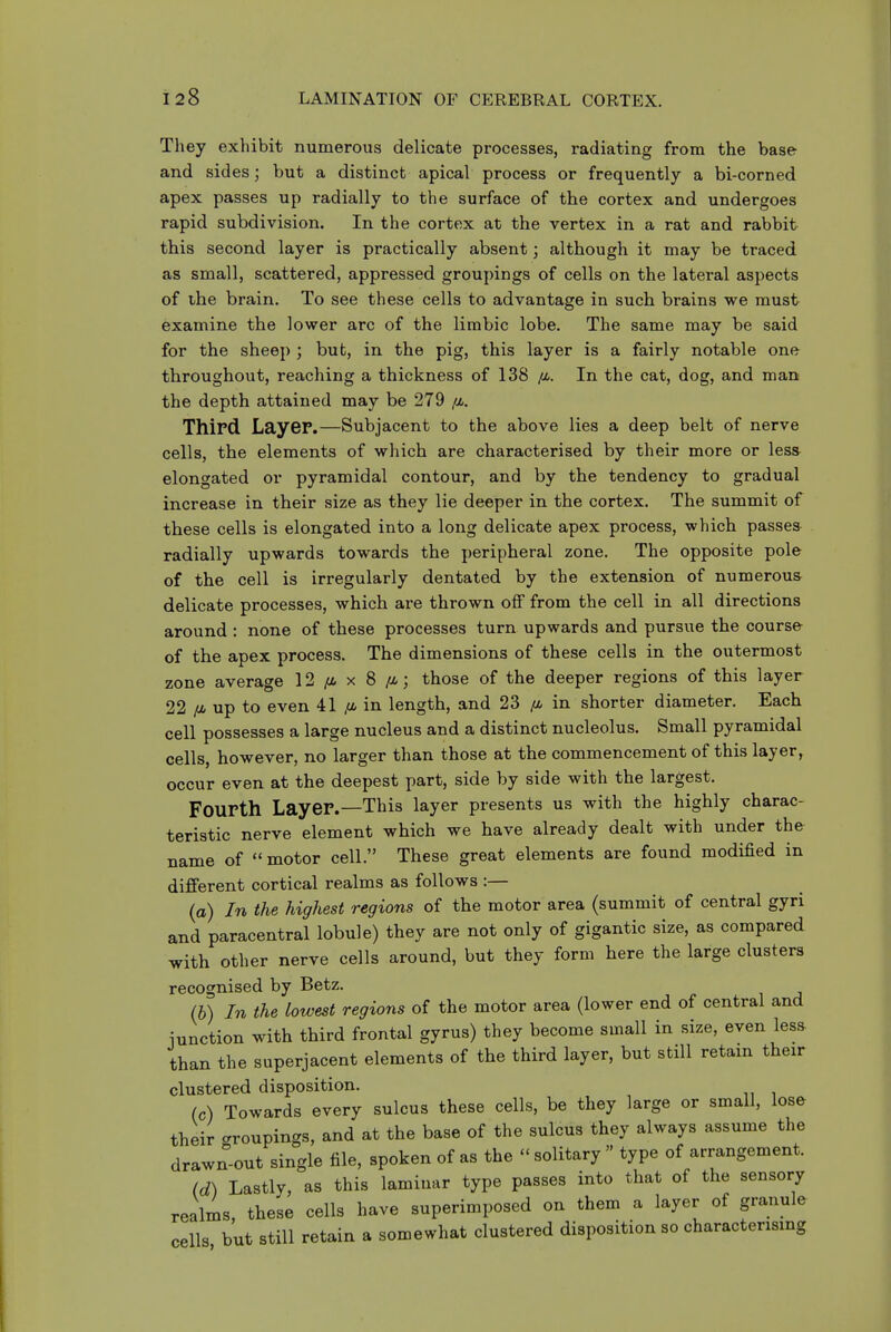They exhibit numerous delicate processes, radiating from the base and sides; but a distinct apical process or frequently a bi-corned apex passes up radially to the surface of the cortex and undergoes rapid subdivision. In the cortex at the vertex in a rat and rabbit this second layer is practically absent; although it may be traced as small, scattered, appressed groupings of cells on the lateral aspects of the brain. To see these cells to advantage in such brains we must examine the lower arc of the limbic lobe. The same may be said for the sheep ; bub, in the pig, this layer is a fairly notable one throughout, reaching a thickness of 138 /a. In the cat, dog, and man the depth attained may be 279 /a. Third Layer.—Subjacent to the above lies a deep belt of nerve cells, the elements of which are characterised by their more or less elongated or pyramidal contour, and by the tendency to gradual increase in their size as they lie deeper in the cortex. The summit of these cells is elongated into a long delicate apex process, which passes- radially upwards towards the peripheral zone. The opposite pole of the cell is irregularly dentated by the extension of numerous delicate processes, which are thrown off from the cell in all directions around : none of these processes turn upwards and pursue the course of the apex process. The dimensions of these cells in the outermost zone average 12 /a x 8 /a ; those of the deeper regions of this layer 22 [M up to even 41 ,a in length, and 23 ^ in shorter diameter. Each cell possesses a large nucleus and a distinct nucleolus. Small pyramidal cells, however, no larger than those at the commencement of this layer, occur even at the deepest part, side by side with the largest. Fourth Layer.—This layer presents us with the highly charac- teristic nerve element which we have already dealt with under the name of  motor cell. These great elements are found modified in different cortical realms as follows :— (a) In the highest regions of the motor area (summit of central gyri and paracentral lobule) they are not only of gigantic size, as compared with other nerve cells around, but they form here the large clusters recognised by Betz. (h) In the lowest regions of the motor area (lower end of central and iunction with third frontal gyrus) they become small in size, even lesa than the superjacent elements of the third layer, but still retain their clustered disposition. (c) Towards every sulcus these cells, be they large or small, lose their groupings, and at the base of the sulcus they always assume the drawn-out single file, spoken of as the - solitary  type of arrangement. Id) Lastly, as this laminar type passes into that of the sensory realms these cells have superimposed on them a layer of granule cells but still retain a somewhat clustered disposition so characterising