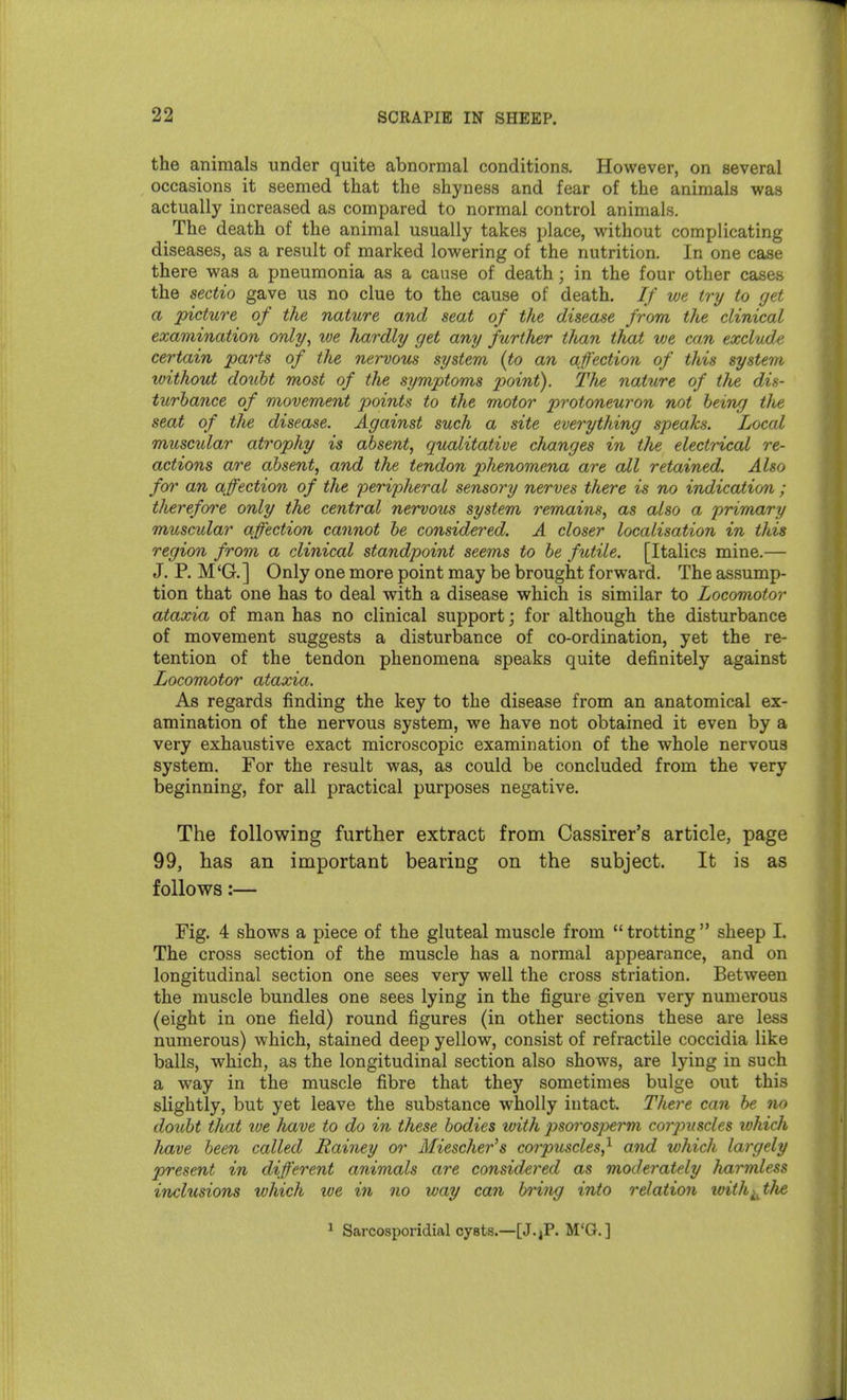 the animals under quite abnormal conditions. However, on several occasions it seemed that the shyness and fear of the animals was actually increased as compared to normal control animals. The death of the animal usually takes place, without complicating diseases, as a result of marked lowering of the nutrition. In one case there was a pneumonia as a cause of death; in the four other cases the sectio gave us no clue to the cause of death. If we try to get a picttire of the nature and seat of the disease from the clinical examination only, we hardly get any further than that we can exclude certain parts of the nervous system {to an affection of this system toithout doubt most of the symptoms point). The nature of the dis- turbance of movement points to the motor protoneuron not being tJie seat of tlie disease. Against such a site everything speaks. Local muscular atrophy is absent, qualitative changes in tJie electrical re- actions are absent, and the tendon phenomena are all retained. Also for an affection of the 'peri'pheral sensory nerves there is no indication ; therefore only the central nervous system remains, as also a primary muscular affection cannot be considered. A closer localisation in this region from a clinical standpoint seems to be futile. [Italics mine.— J. P. M'G.] Only one more point may be brought forward. The assump- tion that one has to deal with a disease which is similar to Locomotor ataxia of man has no clinical support; for although the disturbance of movement suggests a disturbance of co-ordination, yet the re- tention of the tendon phenomena speaks quite definitely against Locomotor ataxia. As regards finding the key to the disease from an anatomical ex- amination of the nervous system, we have not obtained it even by a very exhaustive exact microscopic examination of the whole nervous system. For the result was, as could be concluded from the very beginning, for all practical purposes negative. The following further extract from Cassirer's article, page 99, has an important bearing on the subject. It is as follows:— Fig. 4 shows a piece of the gluteal muscle from  trotting  sheep I. The cross section of the muscle has a normal appearance, and on longitudinal section one sees very well the cross striation. Between the muscle bundles one sees lying in the figure given very numerous (eight in one field) round figures (in other sections these are less numerous) which, stained deep yellow, consist of refractile coccidia like balls, which, as the longitudinal section also shows, are lying in such a way in the muscle fibre that they sometimes bulge out this slightly, but yet leave the substance wholly intact. There can be no doitbt that toe have to do in these bodies with 2^sorosperm corjniscles ivhich have been called Rainey or Miescher's corpuscles,^ and which largely present in different animals are considered as moderately Jmrmless inclusions which we in no way can bring into relation withj^^the Sarcosporidial cysts.—[J.^P. M'G.]