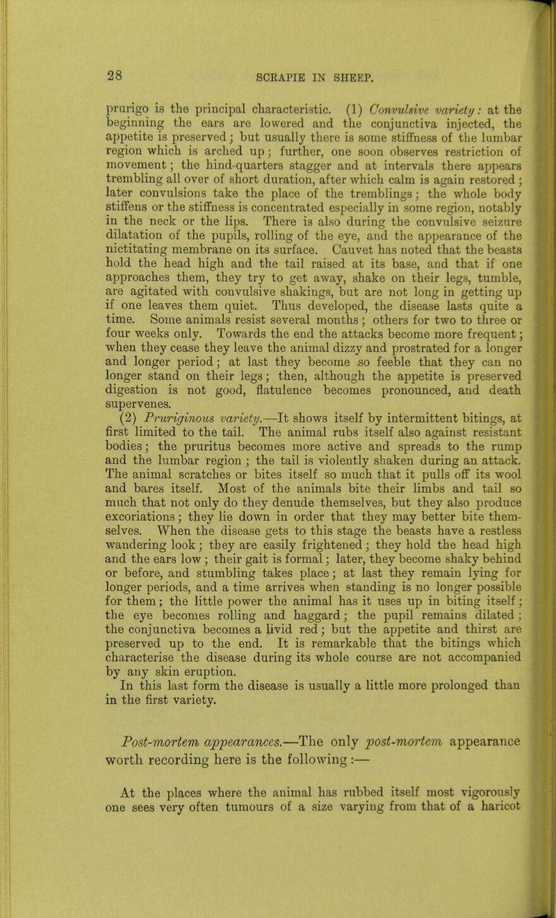 prurigo is the principal characteristic. (1) Convulsive variety: at the beginning the ears are lowered and the conjunctiva injected, the appetite is preserved; but usually there is some stiffness of the lumbar region vt^hich is arched up; further, one soon observes restriction of movement; the hind-quarters stagger and at intervals there appears trembling all over of short duration, after which calm is again restored; later convulsions take the place of the tremblings; the whole body stiffens or the stiffness is concentrated especially in some region, notably in the neck or the lips. There is also during the convulsive seizure dilatation of the pupils, rolling of the eye, and the appearance of the nictitating membrane on its surface. Cauvet has noted that the beasts hold the head high and the tail raised at its base, and that if one approaches them, they try to get away, shake on their legs, tumble, are agitated with convulsive shakings, but are not long in getting up if one leaves them quiet. Thus developed, the disease lasts quite a time. Some animals resist several months ; others for two to three or four weeks only. Towards the end the attacks become more frequent; when they cease they leave the animal dizzy and prostrated for a longer and longer period; at last they become so feeble that they can no longer stand on their legs; then, although the appetite is preserved digestion is not good, flatulence becomes pronounced, and death supervenes. (2) Prurigino%is variety.—It shows itself by intermittent bitings, at first limited to the tail. The animal rubs itself also against resistant bodies; the pruritus becomes more active and spreads to the rump and the lumbar region ; the tail is violently shaken during an attack. The animal scratches or bites itself so much that it pulls off its wool and bares itself. Most of the animals bite their limbs and tail so much that not only do they denude themselves, but they also produce excoriations; they lie down in order that they may better bite them- selves. When the disease gets to this stage the beasts have a restless wandering look; they are easily frightened; they hold the head high and the ears low; their gait is formal; later, they become shaky behind or before, and stumbling takes place; at last they remain lying for longer periods, and a time arrives when standing is no longer possible for them; the little power the animal has it uses up in biting itself; the eye becomes rolling and haggard; the pupil remains dilated ; the conjunctiva becomes a livid red; but the appetite and thirst are preserved up to the end. It is remarkable that the bitings which characterise the disease during its whole course are not accompanied by any skin eruption. In this last form the disease is usually a little more prolonged than in the first variety. Post-mortem appearances.—The only post-mortem appearance worth recording here is the following :— At the places where the animal has rubbed itself most vigorously one sees very often tumours of a size varying from that of a haricot