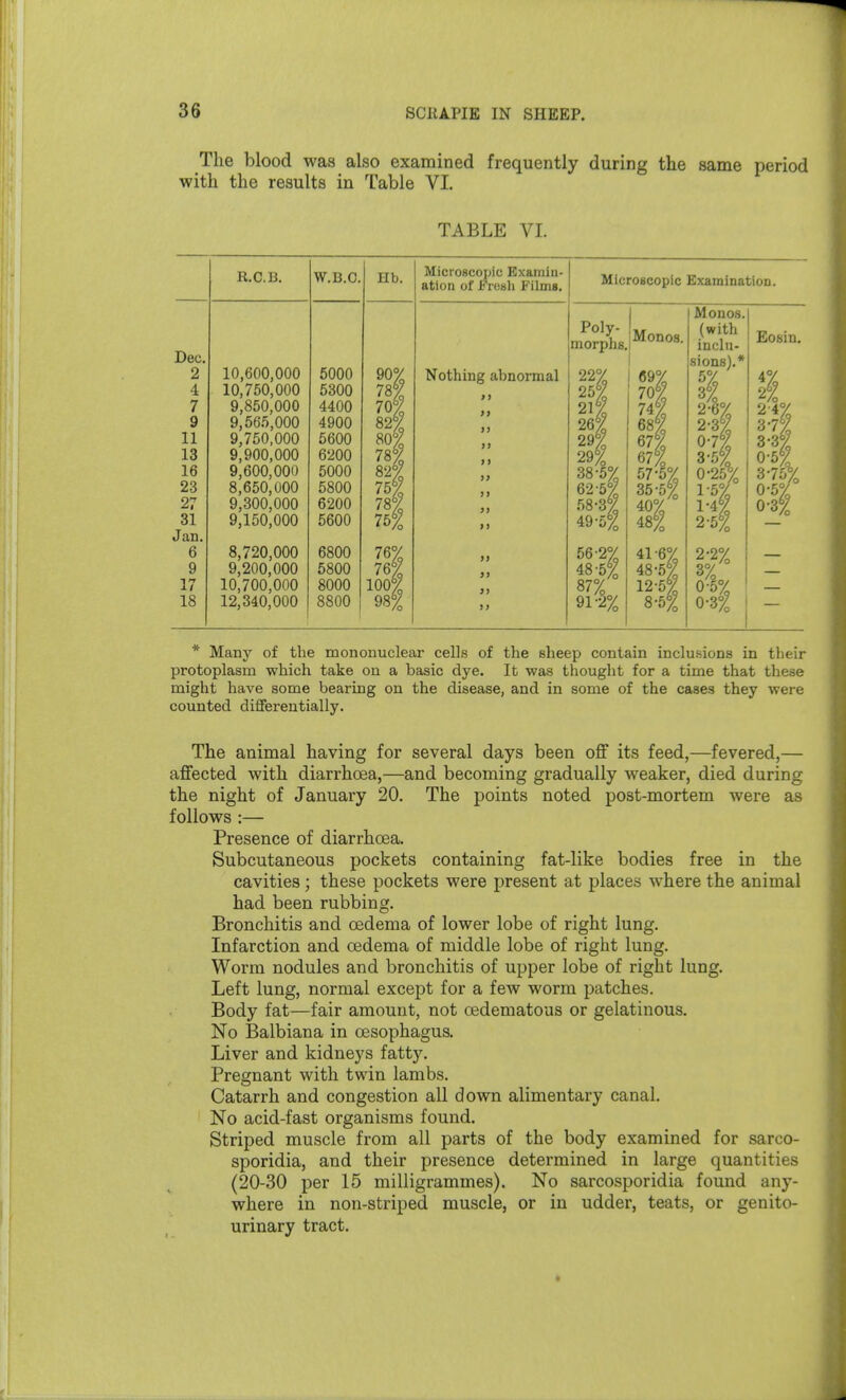 The blood was also examined frequently during the same period with the results in Table VI. TABLE VL Dec. 2 4 7 9 11 13 16 23 27 31 Jan, 6 9 17 18 R.C.B. 10,600,000 10,750,000 9,850,000 9,565,000 9,750,000 9,900,000 9,600,000 8,650,000 9,300,000 9,150,000 8,720,000 9,200,000 10,700,000 12,340,000 W.B.O. 5000 5300 4400 4900 5600 6200 5000 5800 6200 5600 6800 5800 8000 8800 Hb. 90^ 78% 70% 82°; 80| 78% 82| 755^ 78| 75% 76^ 100 98% Microscopic Examin- ation of Frosh Films. Nothing abnormal >> >> Microscopic Examination. Poly- morphs, 26| 29| 29% 38-5% 62-5% 58-3% 49-5°i 56-2% 48-5% 87% 91-§% Monos. 74% 68 / 67% 67^ 35-5^ ^% 48% 41-6% 48-52? 12-5% 8-5% Monos. (with inclu- sions).* 3% % 2 2 0- 25^% 1- 4% 2- 5% 2-2% 3% 0-5% 0-3°^ Eosin. 2% 2- 4% 3- 7% 3-37 0-5% 3-75% 0-3% * Many of the mononuclear cells of the sheep contain inclusions in their protoplasm which take on a basic dye. It was thought for a time that these might have some bearing on the disease, and in some of the cases they were counted dififerentially. The animal having for several days been off its feed,—fevered,— affected with diarrhoea,—and becoming gradually weaker, died during the night of January 20. The points noted post-mortem were as follows :— Presence of diarrhoea. Subcutaneous pockets containing fat-like bodies free in the cavities; these pockets were present at places where the animal had been rubbing. Bronchitis and oedema of lower lobe of right lung. Infarction and oedema of middle lobe of right lung. Worm nodules and bronchitis of upper lobe of right lung. Left lung, normal except for a few worm patches. Body fat—fair amount, not oedematous or gelatinous. No Balbiana in oesophagus. Liver and kidneys fatty. Pregnant with twin lambs. Catarrh and congestion all down alimentary canal. No acid-fast organisms found. Striped muscle from all parts of the body examined for sarco- sporidia, and their presence determined in large quantities (20-30 per 15 milligrammes). No sarcosporidia found any- where in non-striped muscle, or in udder, teats, or urinary tract. genito-