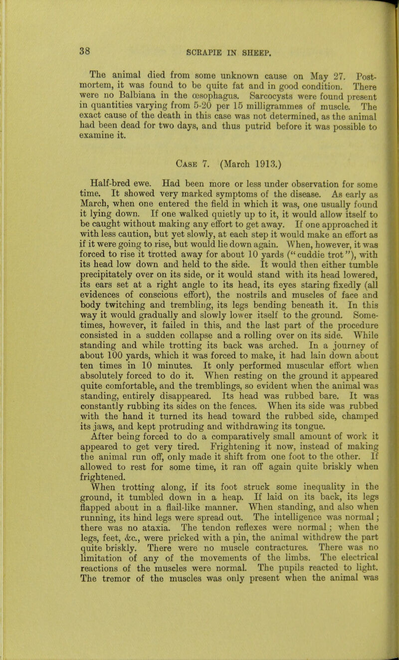 The animal died from some unknown cause on May 27. Post- mortem, it was found to be quite fat and in good condition. There were no Balbiana in the oesophagus. Sarcocysts were found present in quantities varying from 5-20 per 15 milligrammes of muscle. The exact cause of the death in this case was not determined, as the animal had been dead for two days, and thus putrid before it was possible to examine it. Case 7. (March 1913.) Half-bred ewe. Had been more or less under observation for some time. It showed very marked symptoms of the disease. As early as March, when one entered the field in which it was, one usually found it lying down. If one walked quietly up to it, it would allow itself to be caught without making any effort to get away. If one approached it with less caution, but yet slowly, at each step it would make an effort as if it were going to rise, but would lie down again. When, however, it was forced to rise it trotted away for about 10 yards (cuddie trot), with its head low down and held to the side. It would then either tumble precipitately over on its side, or it would stand with its head lowered, its ears set at a right angle to its head, its eyes staring fixedly (all evidences of conscious effort), the nostrils and muscles of face and body twitching and trembling, its legs bending beneath it. In this way it would gradually and slowly lower itself to the ground. Some- times, however, it failed in this, and the last part of the procedure consisted in a sudden collapse and a rolling over on its side. While standing and while trotting its back was arched. In a journey of about 100 yards, which it was forced to make, it had lain down about ten times in 10 minutes. It only performed muscular effort when absolutely forced to do it. When resting on the ground it appeared quite comfortable, and the tremblings, so evident when the animal was standing, entirely disappeared. Its head was rubbed bare. It was constantly rubbing its sides on the fences. When its side was rubbed with the hand it turned its head toward the rubbed side, champed its jaws, and kept protruding and withdrawing its tongue. After being forced to do a comparatively small amount of work it appeared to get very tired. Frightening it now, instead of making the animal run off, only made it shift from one foot to the other. If allowed to rest for some time, it ran off again quite briskly when frightened. When trotting along, if its foot struck some inequality in the ground, it tumbled down in a heap. If laid on its back, its legs flapped about in a flail-like manner. Wlien standing, and also when running, its hind legs were spread out. The intelligence was normal j there was no ataxia. The tendon reflexes were normal; when the legs, feet, &c., were pricked with a pin, the animal withdrew the part quite briskly. There were no muscle contractures. There was no limitation of any of the movements of the limbs. The electrical reactions of the muscles were normal. The pupils reacted to light. The tremor of the muscles was only present when the animal was