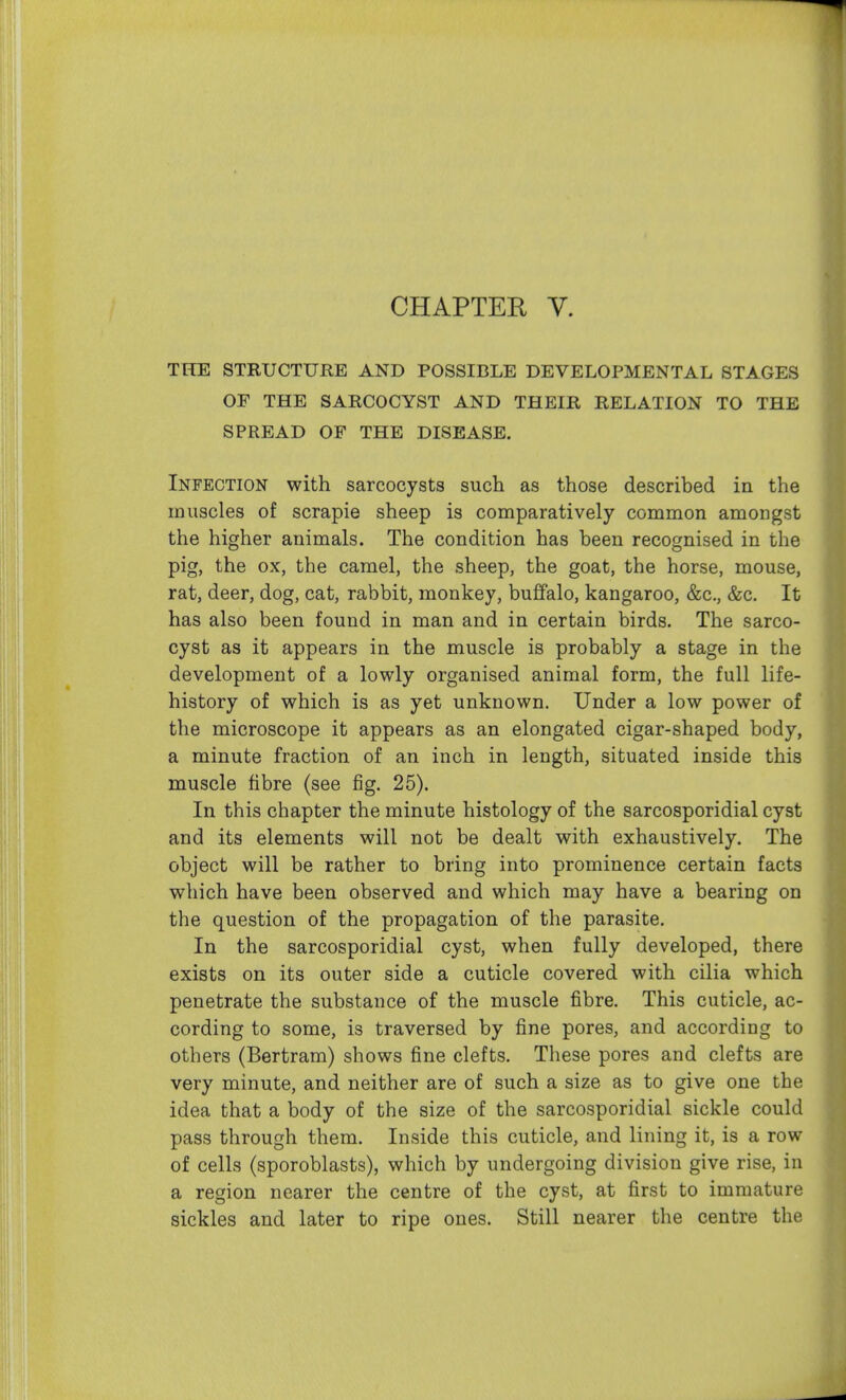 THE STRUCTURE AND POSSIBLE DEVELOPMENTAL STAGES OF THE SARCOCYST AND THEIR RELATION TO THE SPREAD OF THE DISEASE. Infection with sarcocysts such as those described in the muscles of scrapie sheep is comparatively common amongst the higher animals. The condition has been recognised in the pig, the ox, the camel, the sheep, the goat, the horse, mouse, rat, deer, dog, cat, rabbit, monkey, buffalo, kangaroo, &c., &c. It has also been found in man and in certain birds. The sarco- cyst as it appears in the muscle is probably a stage in the development of a lowly organised animal form, the full life- history of which is as yet unknown. Under a low power of the microscope it appears as an elongated cigar-shaped body, a minute fraction of an inch in length, situated inside this muscle fibre (see fig. 25). In this chapter the minute histology of the sarcosporidial cyst and its elements will not be dealt with exhaustively. The object will be rather to bring into prominence certain facts which have been observed and which may have a bearing on the question of the propagation of the parasite. In the sarcosporidial cyst, when fully developed, there exists on its outer side a cuticle covered with cilia which penetrate the substance of the muscle fibre. This cuticle, ac- cording to some, is traversed by fine pores, and according to others (Bertram) shows fine clefts. These pores and clefts are very minute, and neither are of such a size as to give one the idea that a body of the size of the sarcosporidial sickle could pass through them. Inside this cuticle, and lining it, is a row of cells (sporoblasts), which by undergoing division give rise, in a region nearer the centre of the cyst, at first to immature sickles and later to ripe ones. Still nearer the centre the