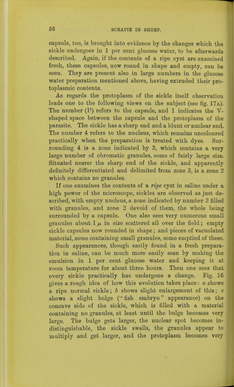 capsule, too, is brought into evidence by the changes which the sickle undergoes in 1 per cent glucose water, to be afterwards described. Again, if the contents of a ripe cyst are examined fresh, these capsules, now round in shape and empty, can be seen. They are present also in large numbers in the glucose water preparation mentioned above, having extruded their pro- toplasmic contents. As regards the protoplasm of the sickle itself observation leads one to the following views on the subject (see fig. 17a). The number (P) refers to the capsule, and 1 indicates the V- shaped space between the capsule and the protoplasm of the parasite. The sickle has a sharp end and a blunt or nuclear end. The number 4 refers to the nucleus, which remains uncoloured practically when the preparation is treated with dyes. Sur- rounding 4 is a zone indicated by 3, which contains a very large number of chromatic granules, some of fairly large size. Situated nearer the sharp end of the sickle, and apparently definitely differentiated and delimited from zone 3, is a zone 2 which contains no granules. If one examines the contents of a ripe cyst in saline under a high power of the microscope, sickles are observed as just de- scribed, with empty nucleus, a zone indicated by number 3 filled with granules, and zone 2 devoid of them, the whole being surrounded by a capsule. One also sees very numerous small granules about 1 yL6 in size scattered all over the field; empty sickle capsules now rounded in shape; and pieces of vacuolated material, some containing small granules, some emptied of these. Such appearances, though easily found in a fresh prepara- tion in saline, can be much more easily seen by making the emulsion in 1 per cent glucose water and keeping it at room temperature for about three hours. Then one sees that every sickle practically has undergone a change. Fig. 16 gives a rough idea of how this evolution takes place: a ghows a ripe normal sickle; h shows slight enlargement of this; c shows a slight bulge ( fish embryo appearance) on the concave side of the sickle, which is filled with a material containing no granules, at least until the bulge becomes very large. The bulge gets larger, the nuclear spot becomes in- distinguishable, the sickle swells, the granules appear to multiply and get larger, and the protoplasm becomes very